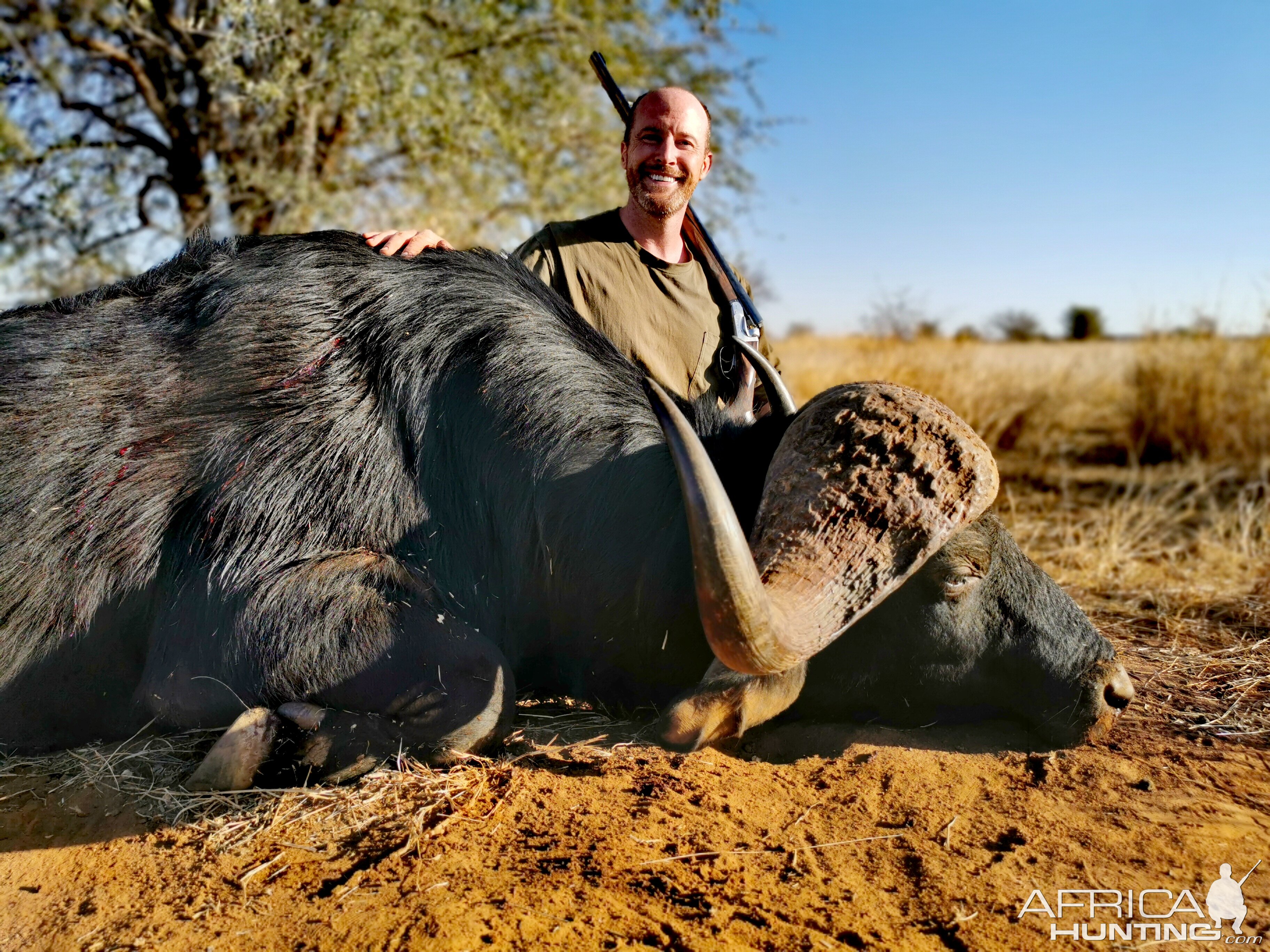 Buffalo Hunt South Africa