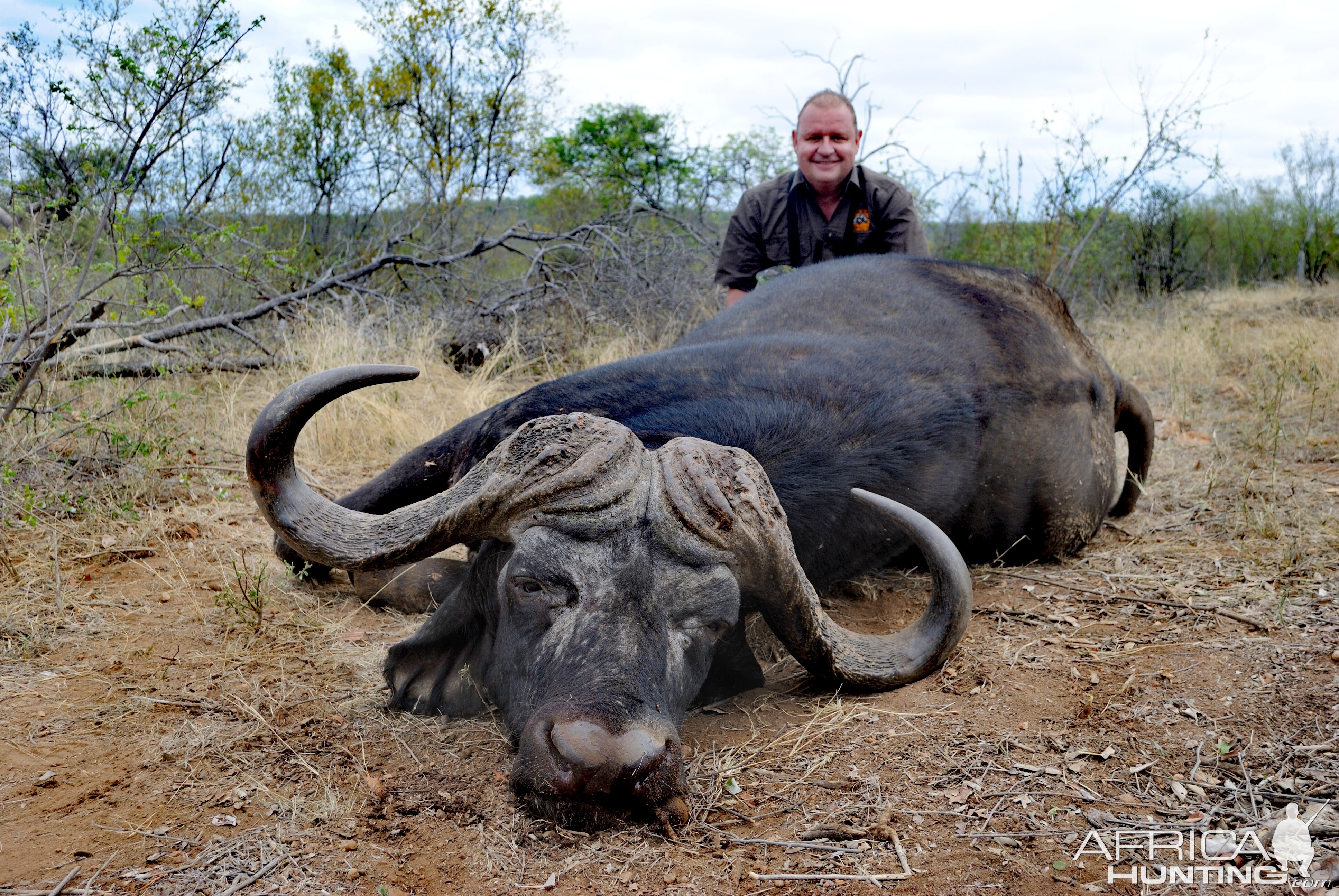 Buffalo Hunt South Africa