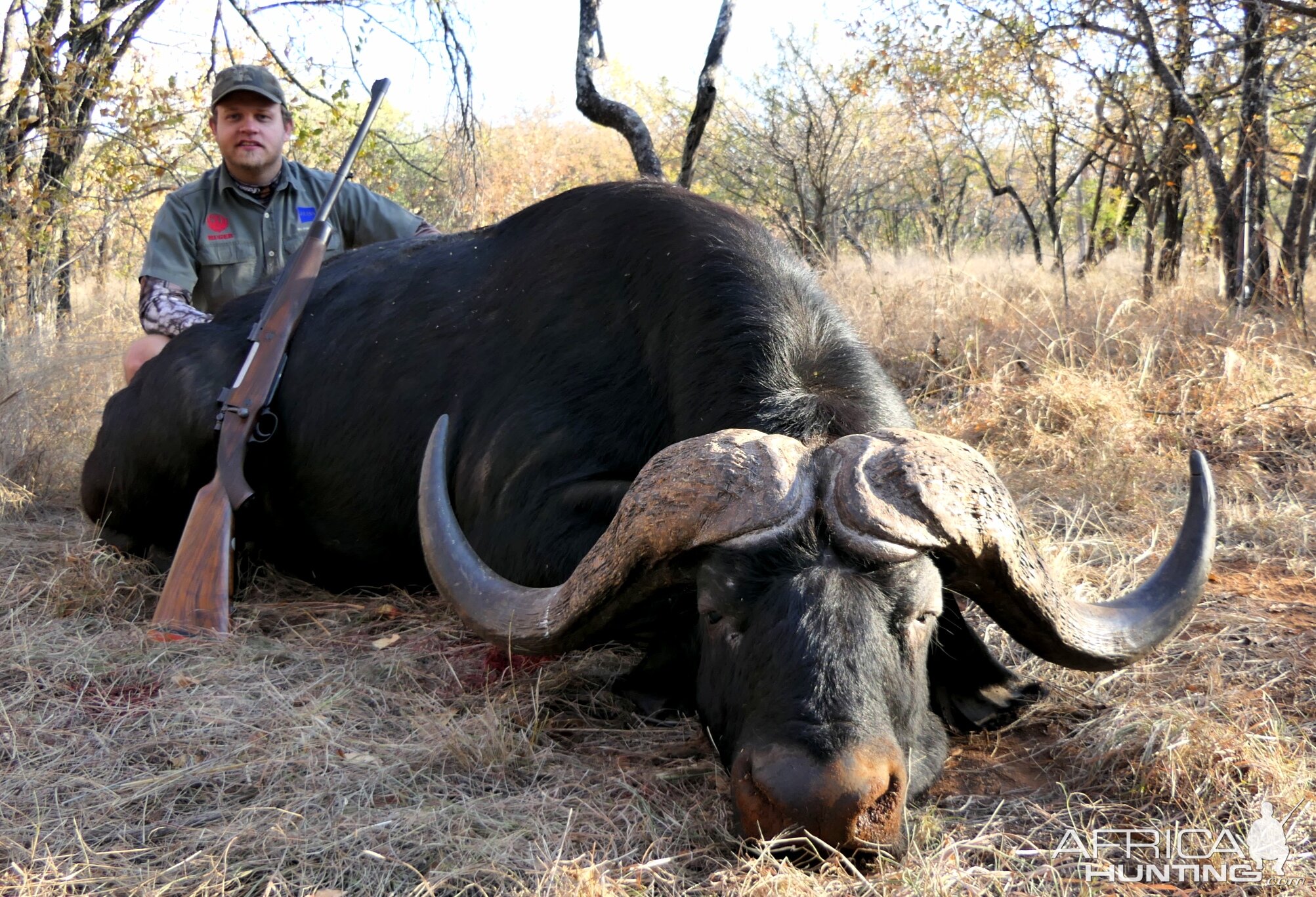 Buffalo Hunt South Africa