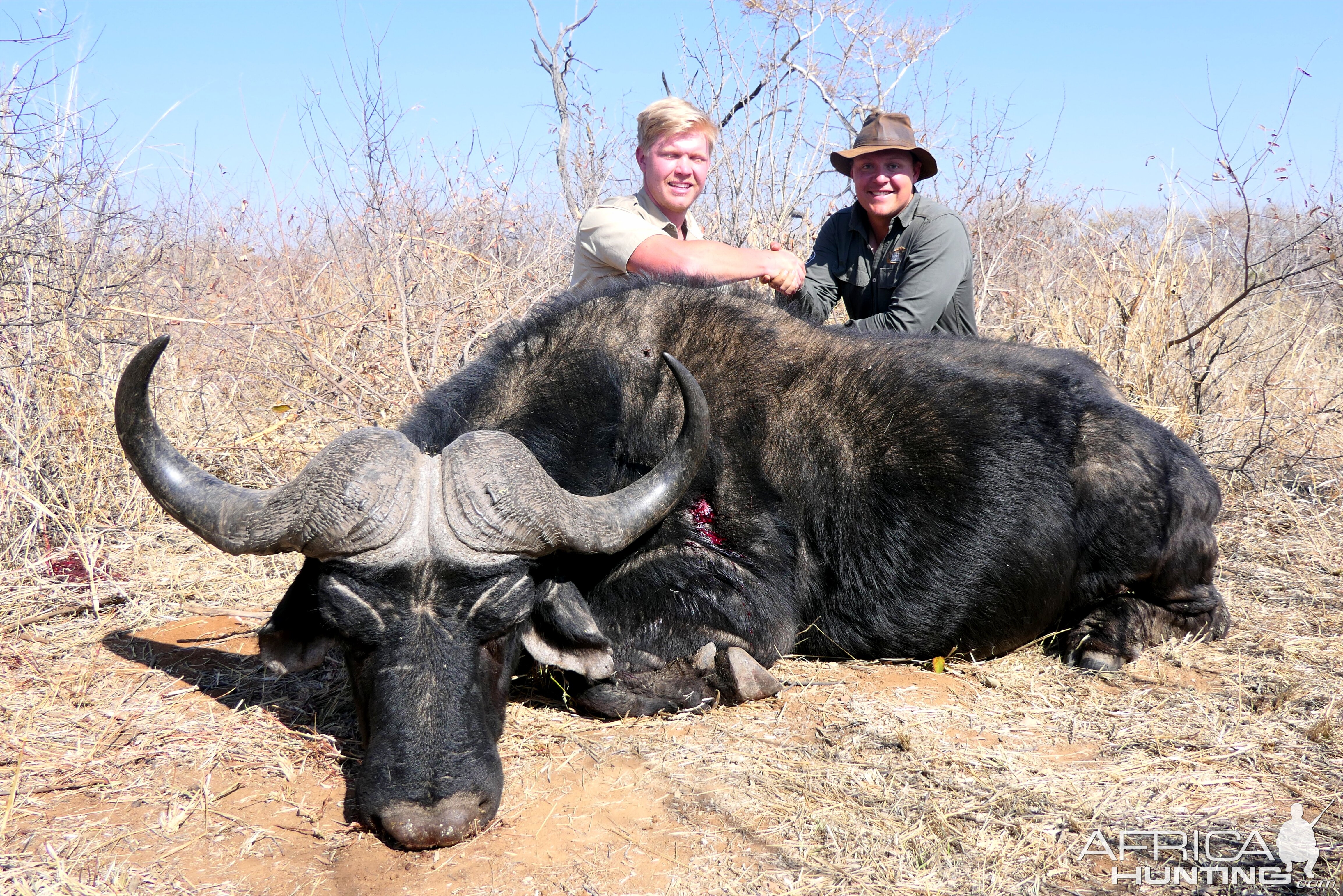 Buffalo Hunt South Africa