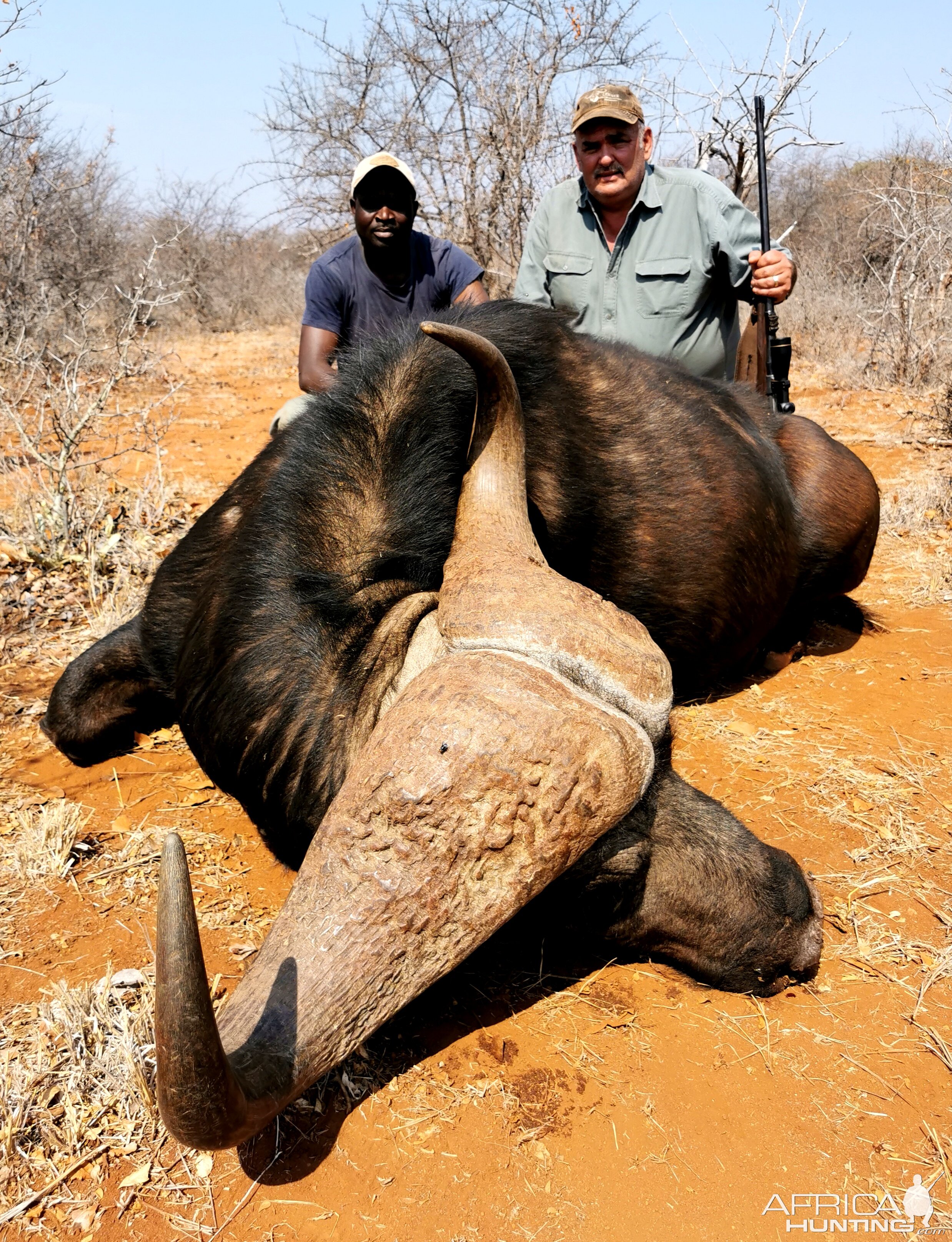 Buffalo Hunt South Africa