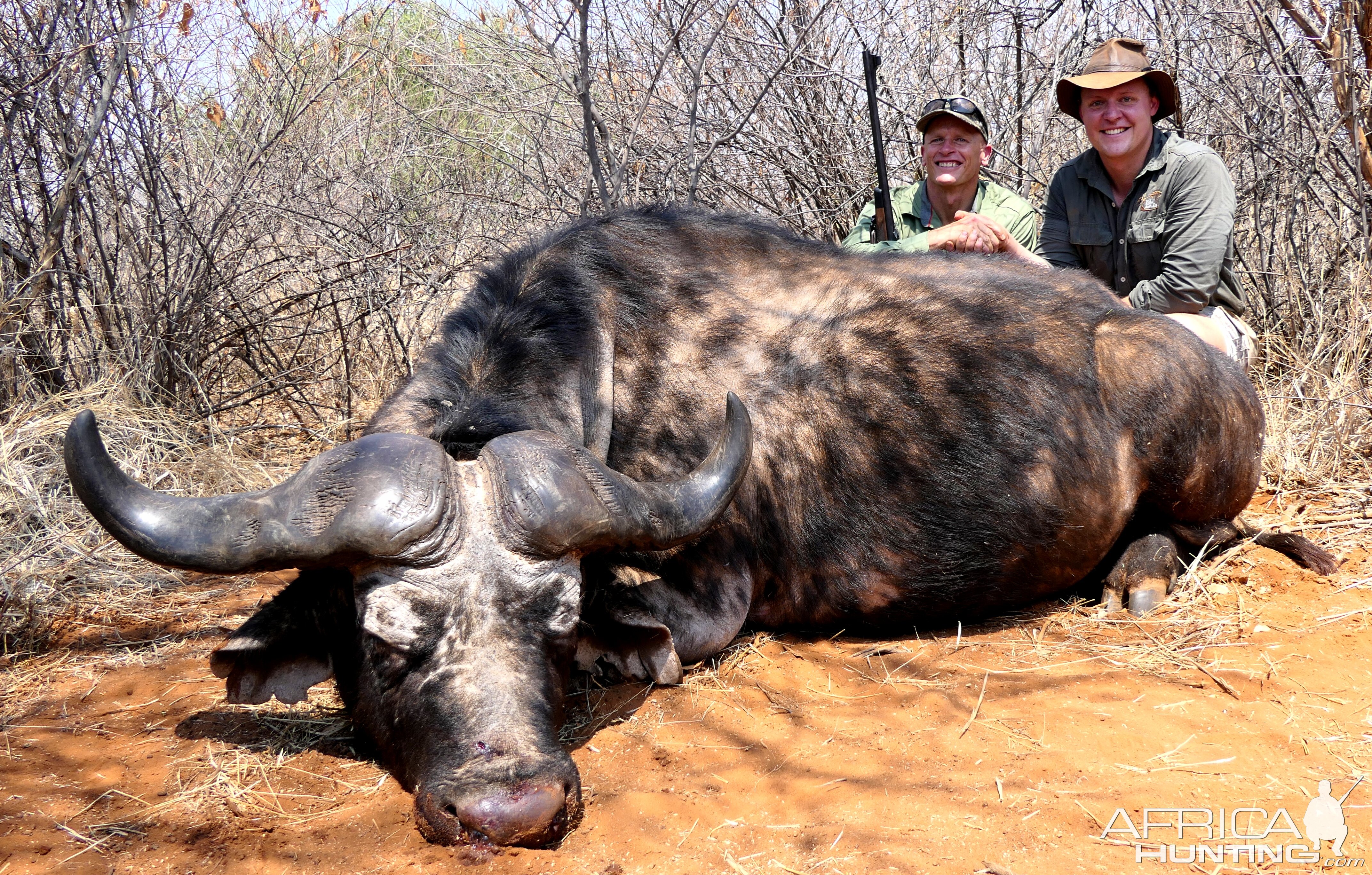 Buffalo Hunt South Africa