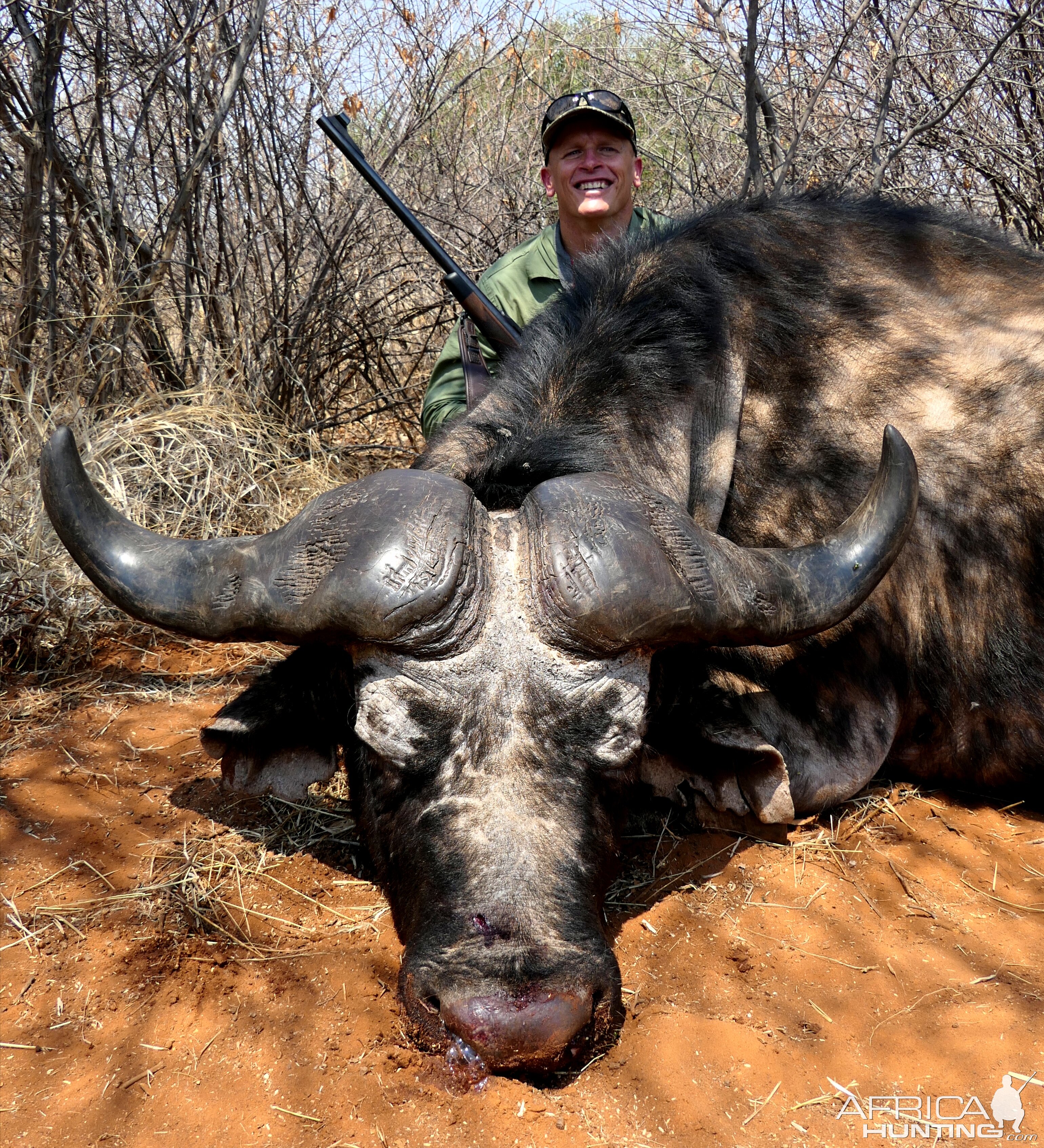 Buffalo Hunt South Africa