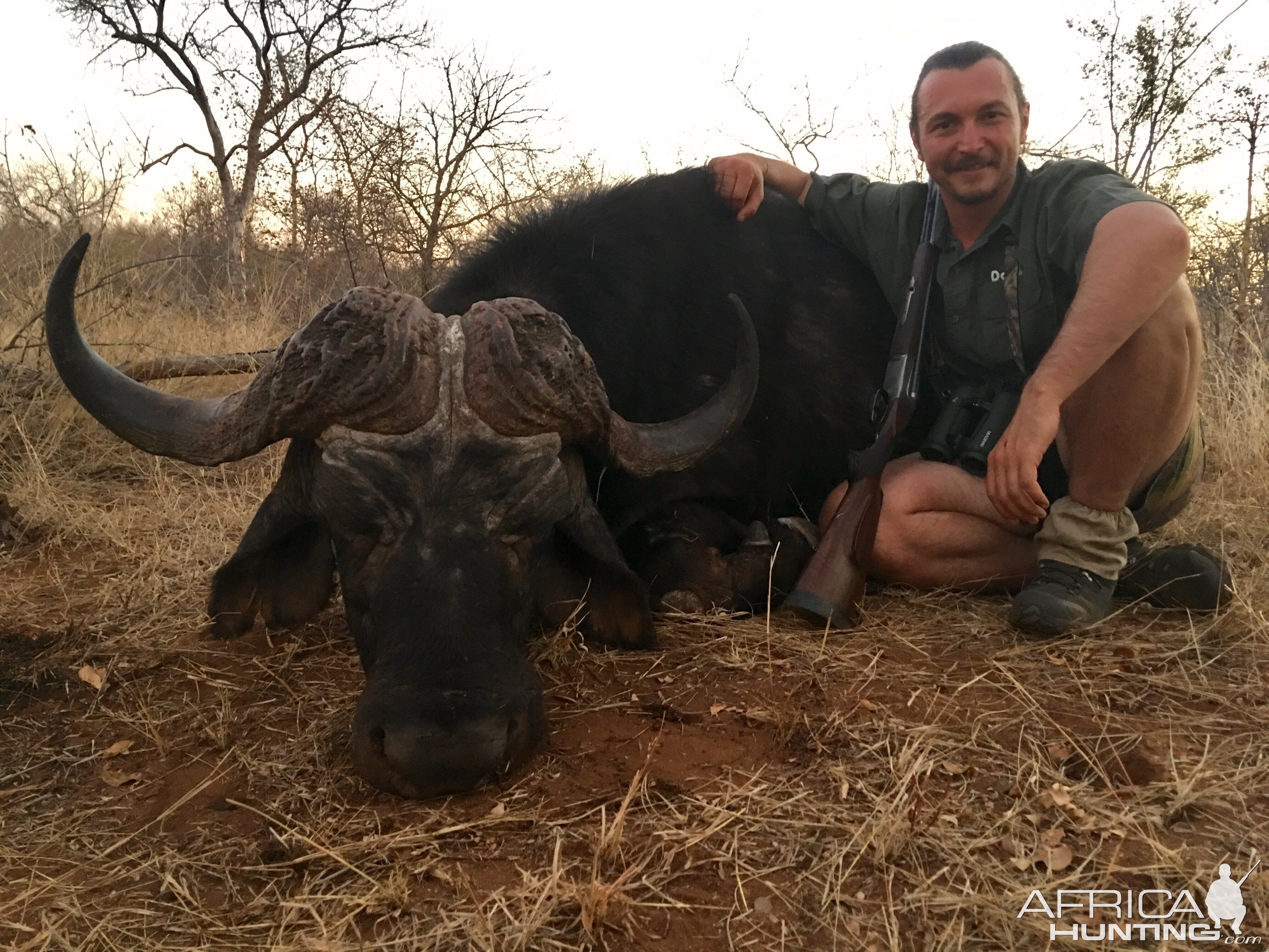 Buffalo Hunt South Africa