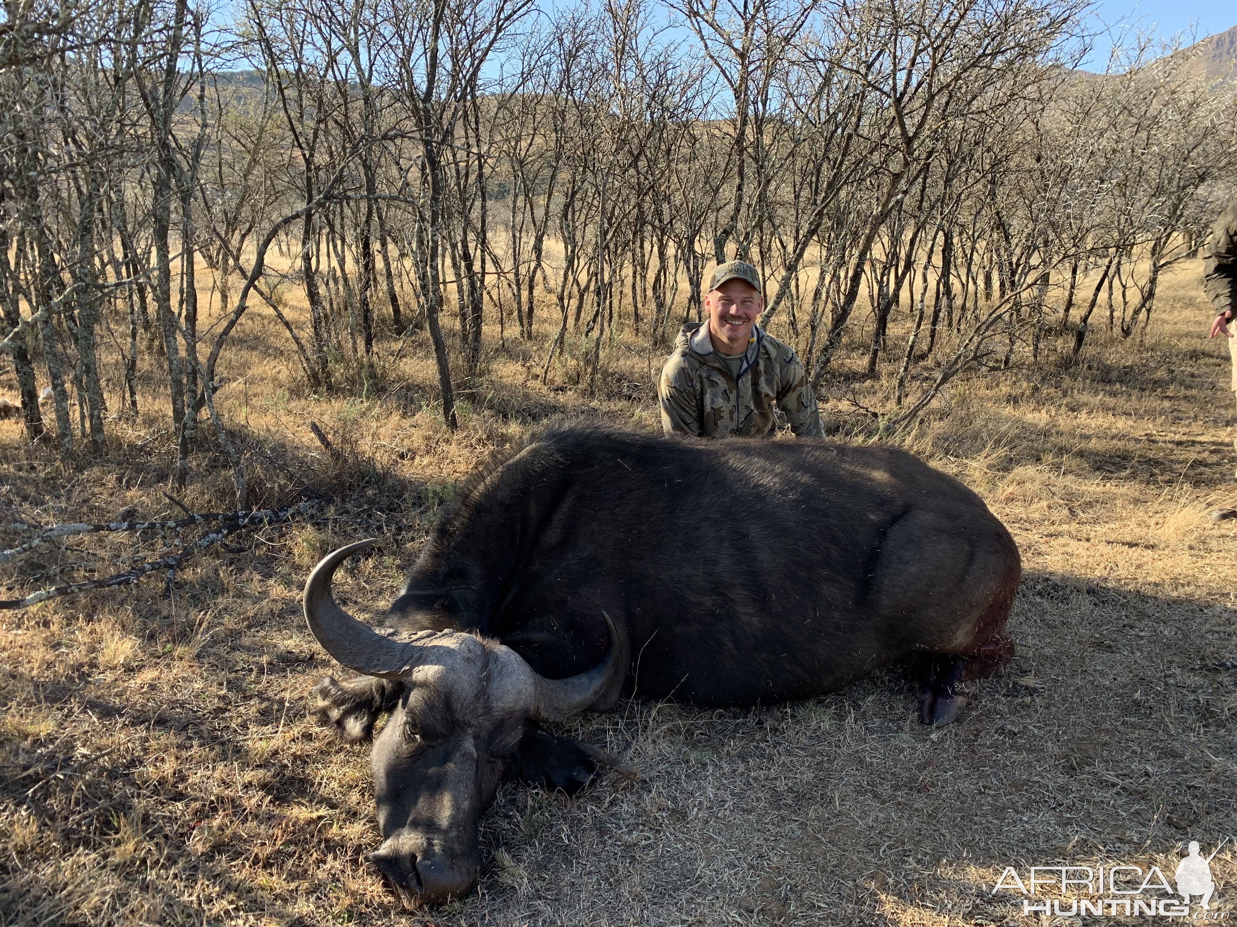 Buffalo Hunt South Africa