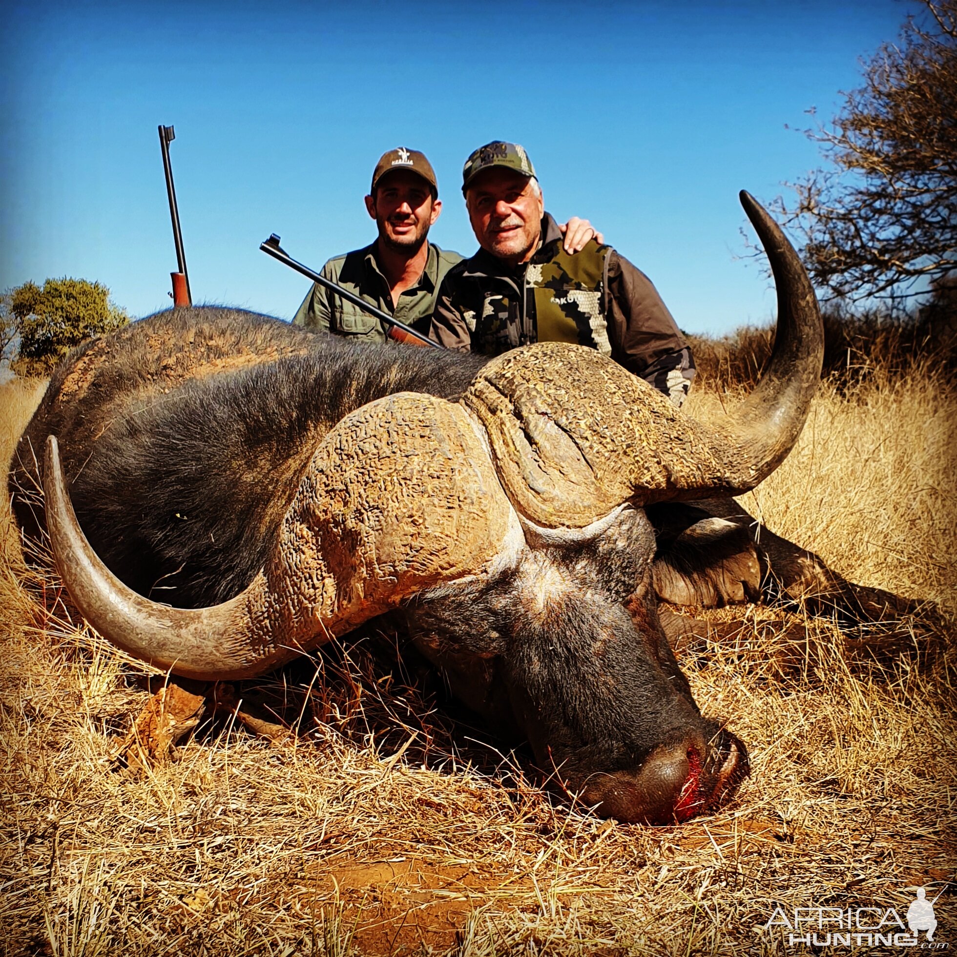 Buffalo Hunt South Africa