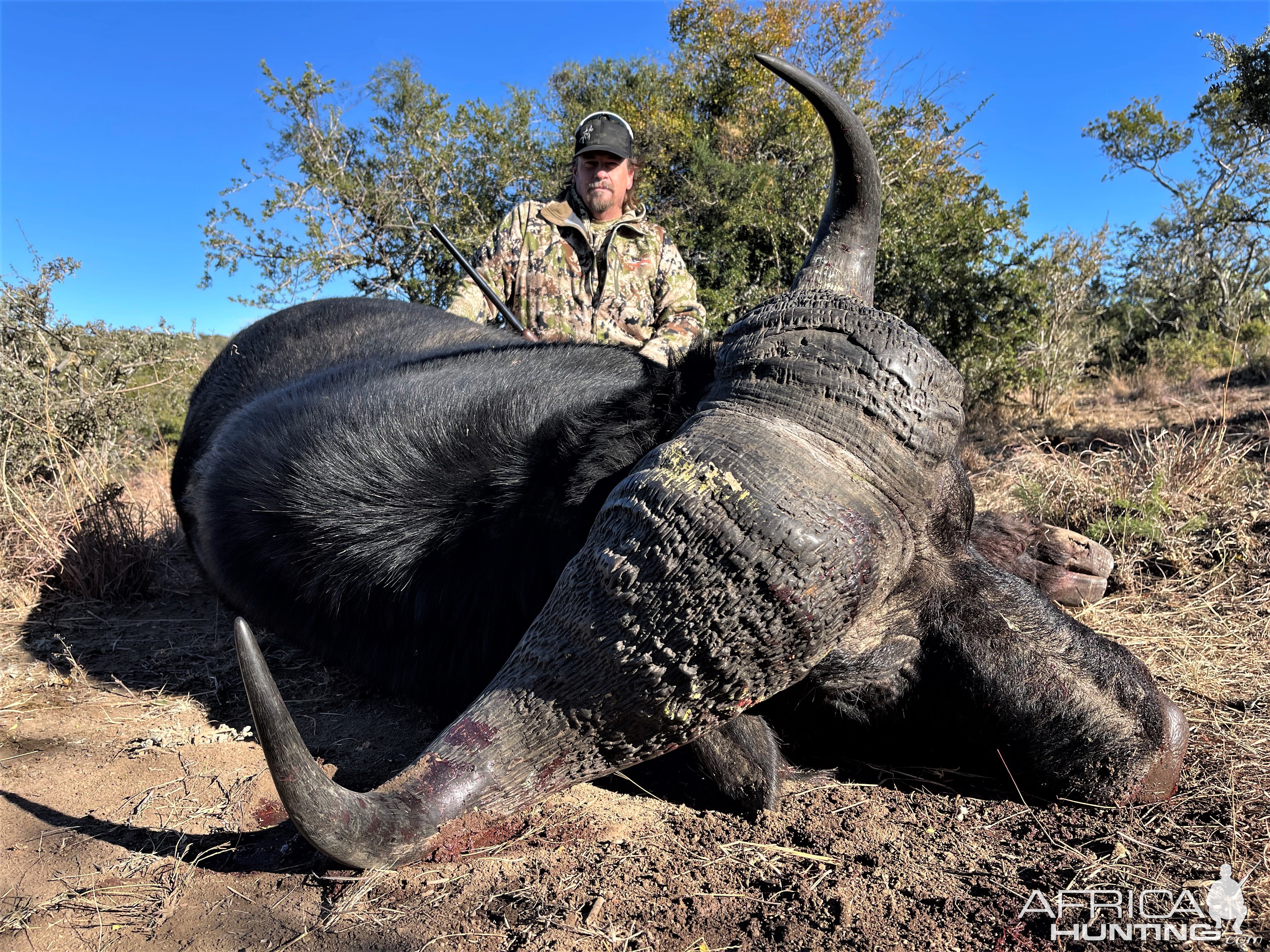 Buffalo Hunt South Africa