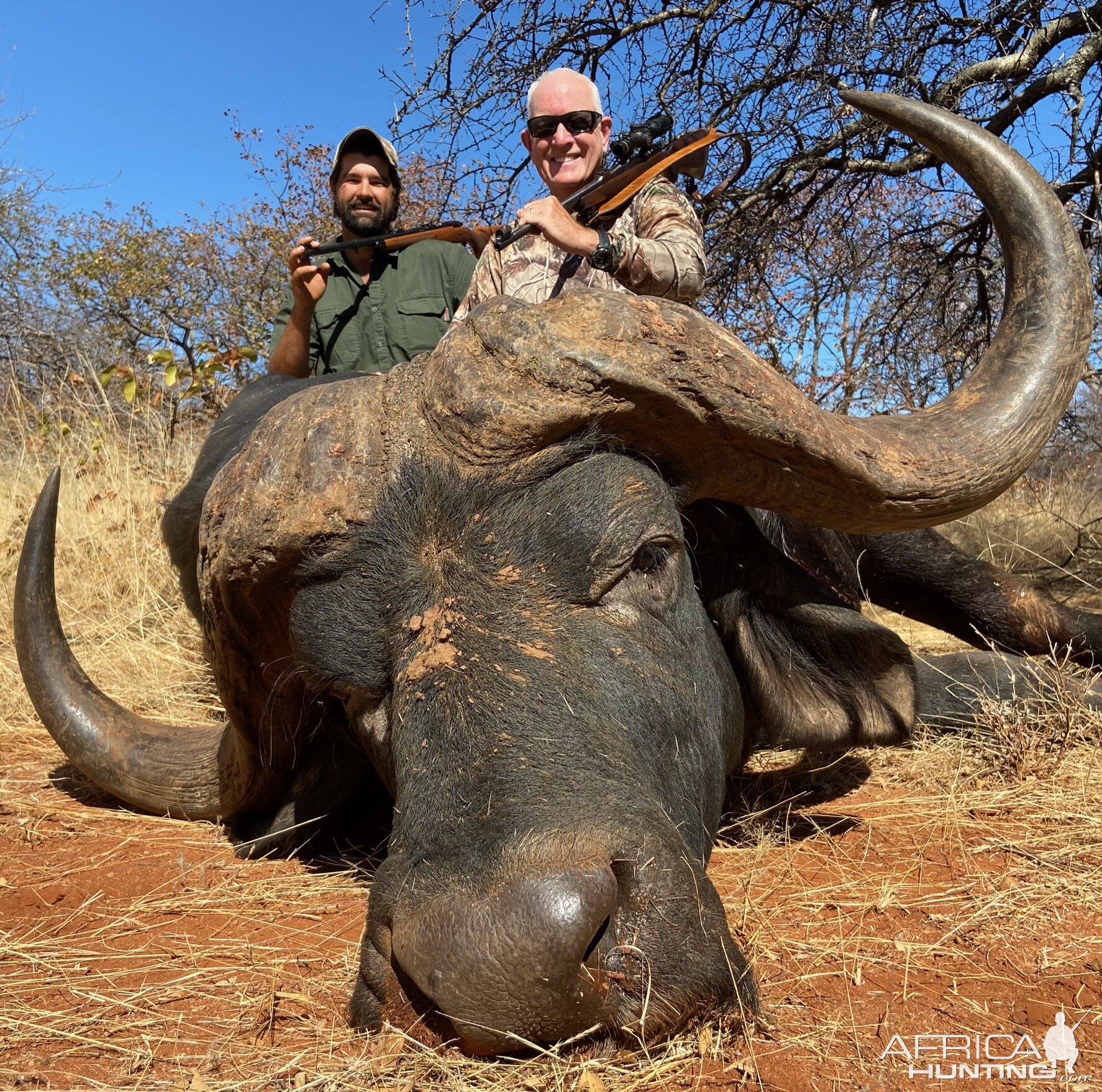 Buffalo Hunt South Africa