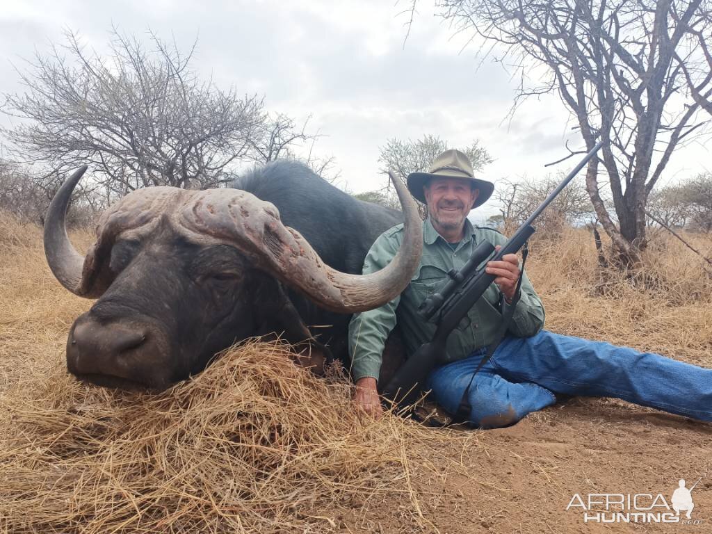 Buffalo Hunt South Africa