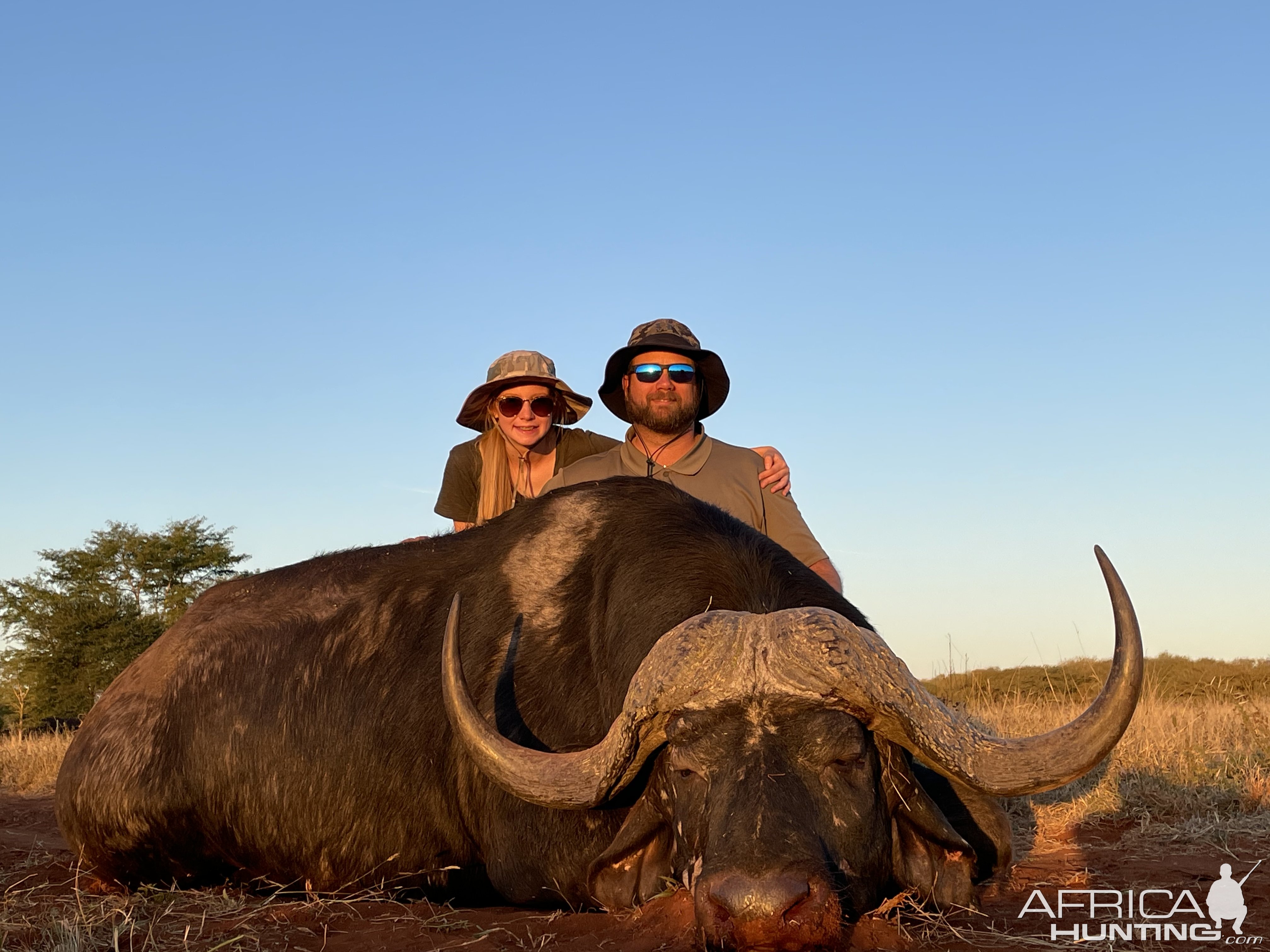 Buffalo Hunt South Africa