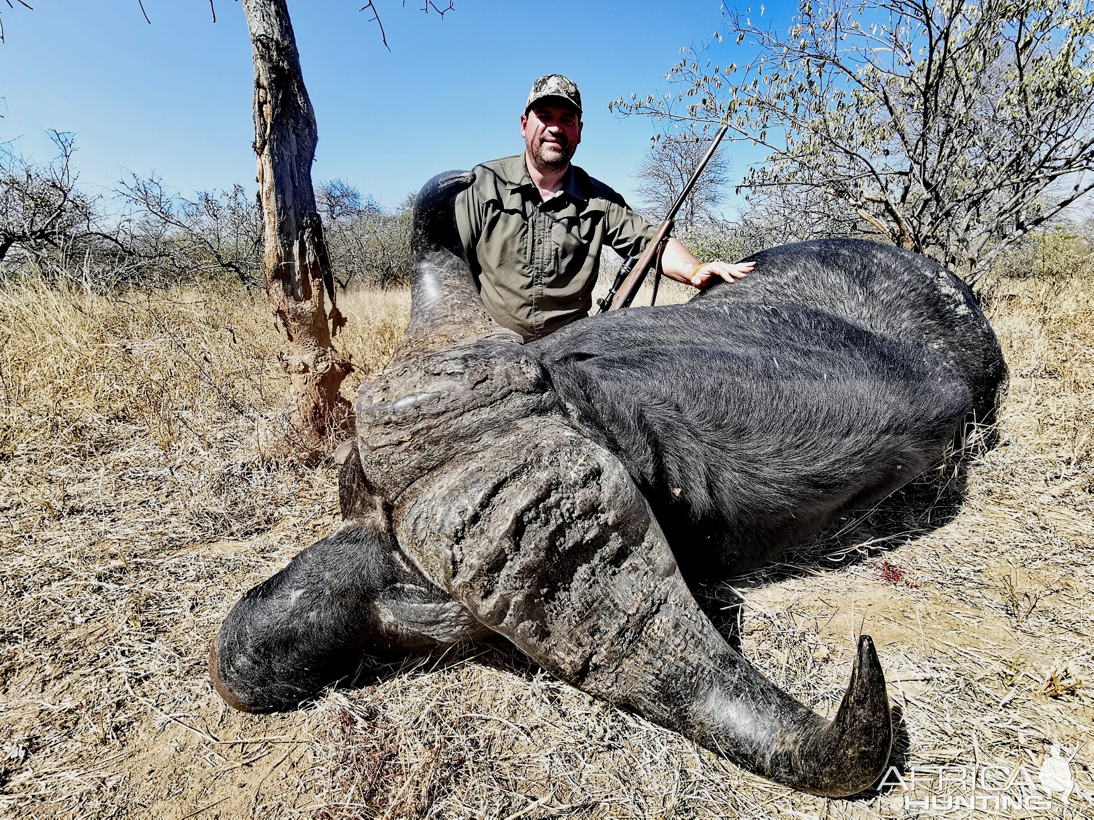 Buffalo Hunt South Africa