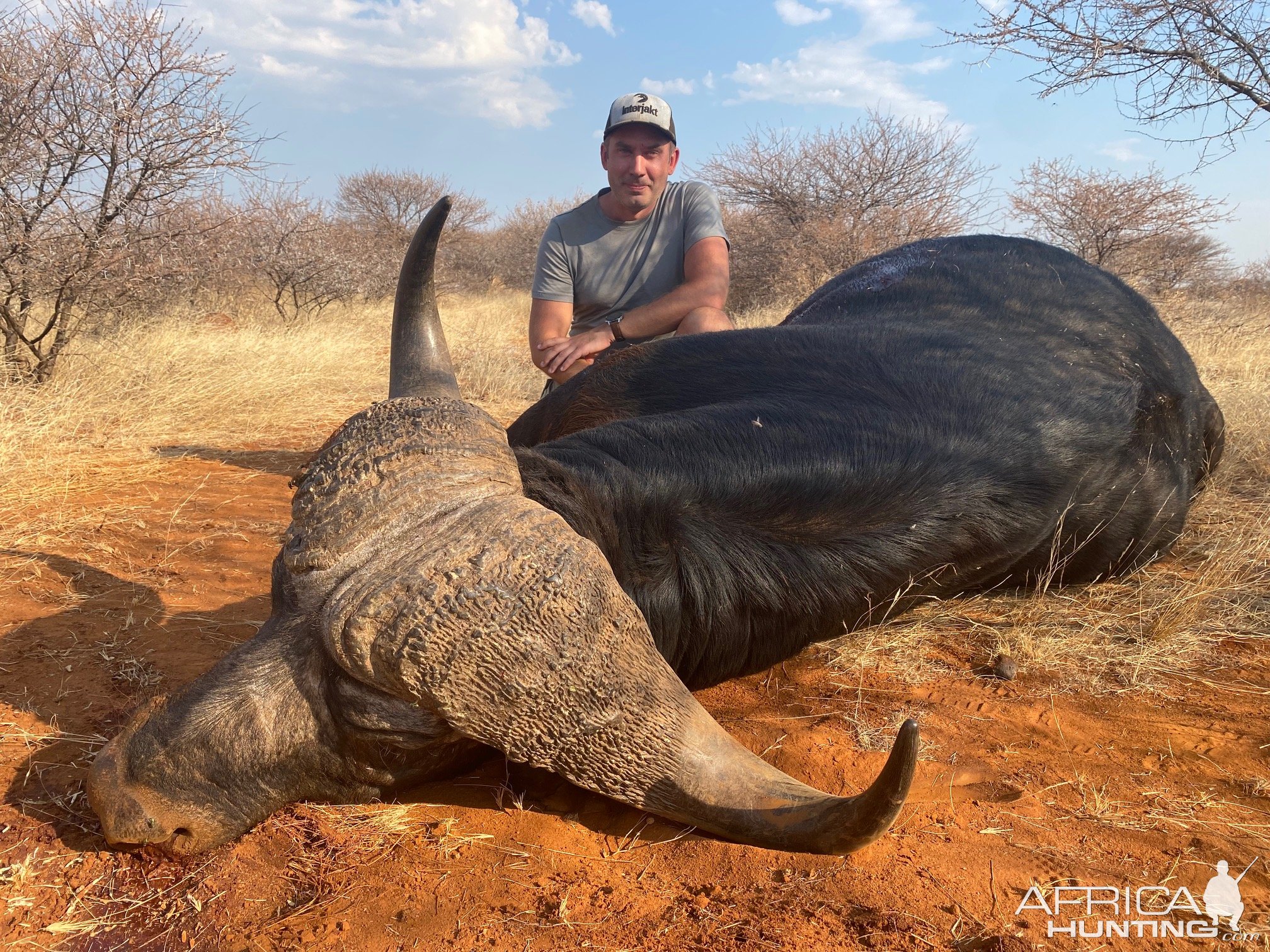 Buffalo Hunt South Africa