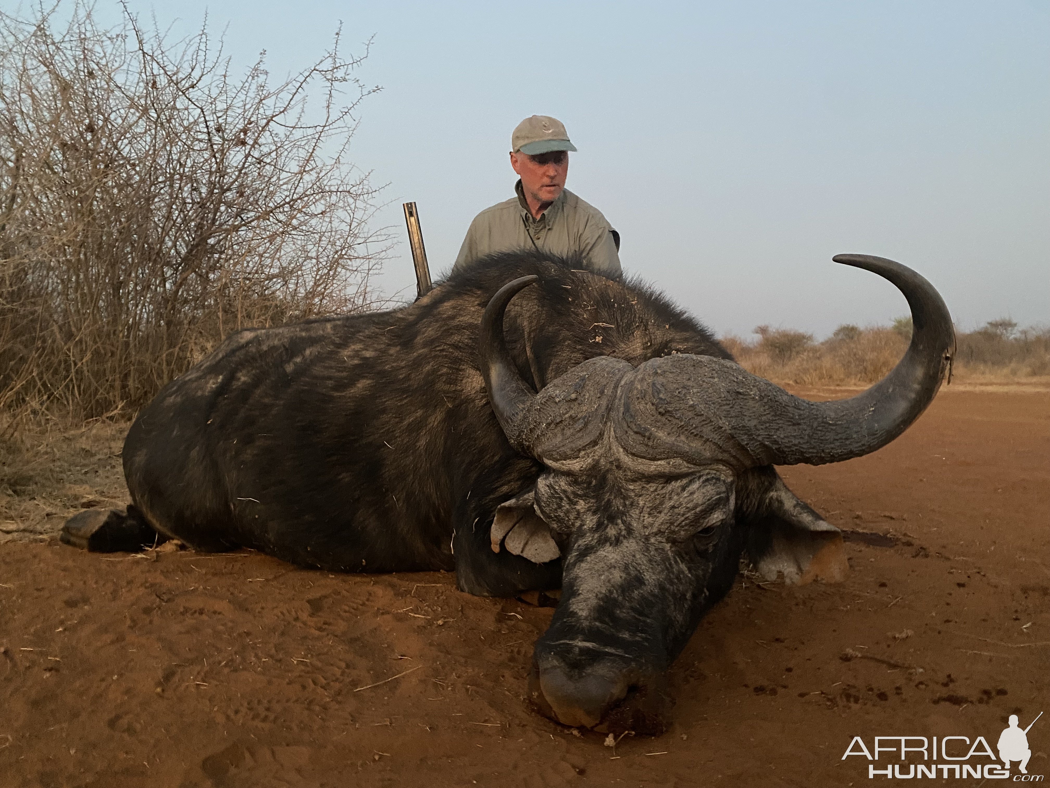 Buffalo Hunt South Africa