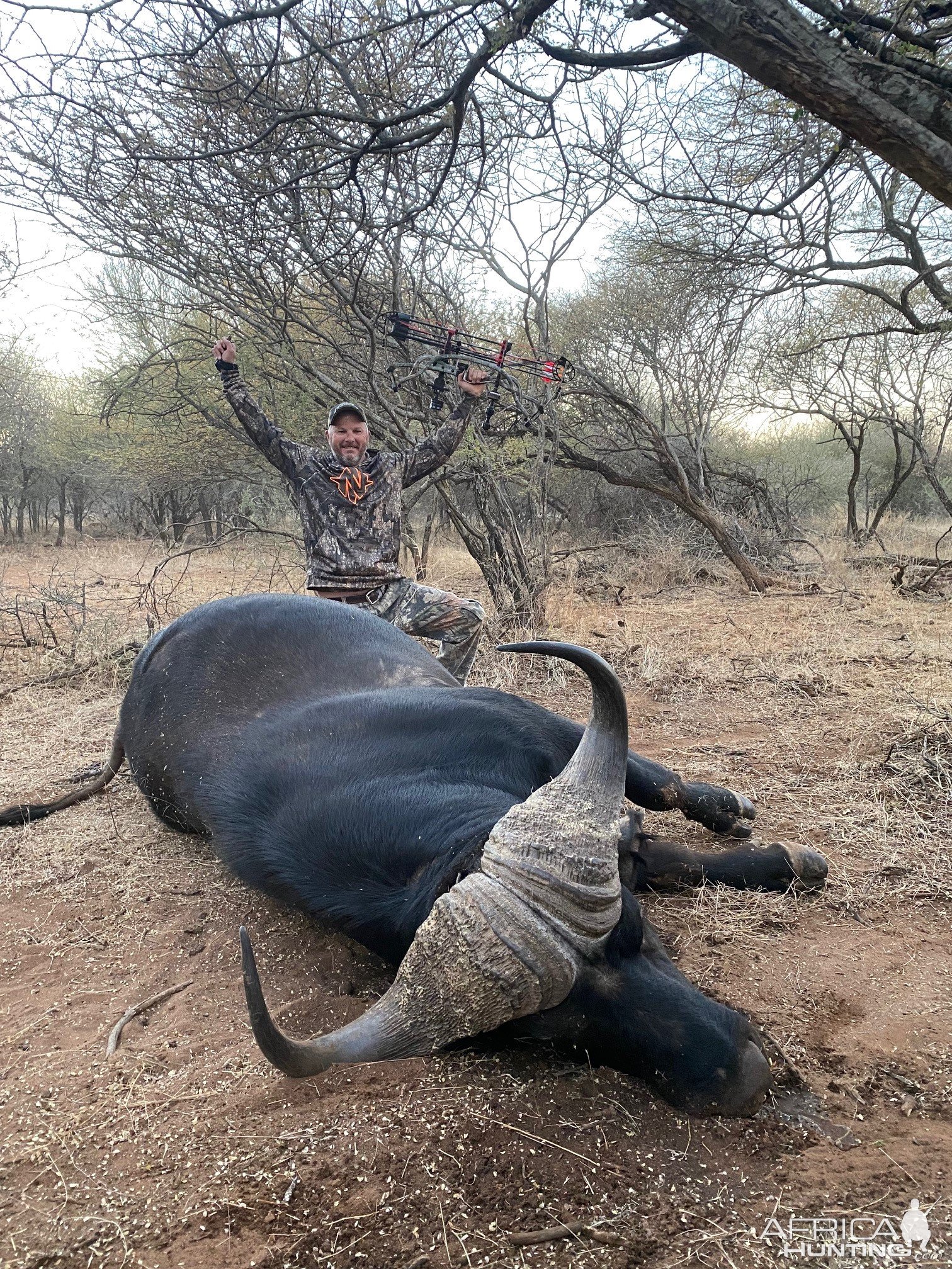 Buffalo Hunt South Africa