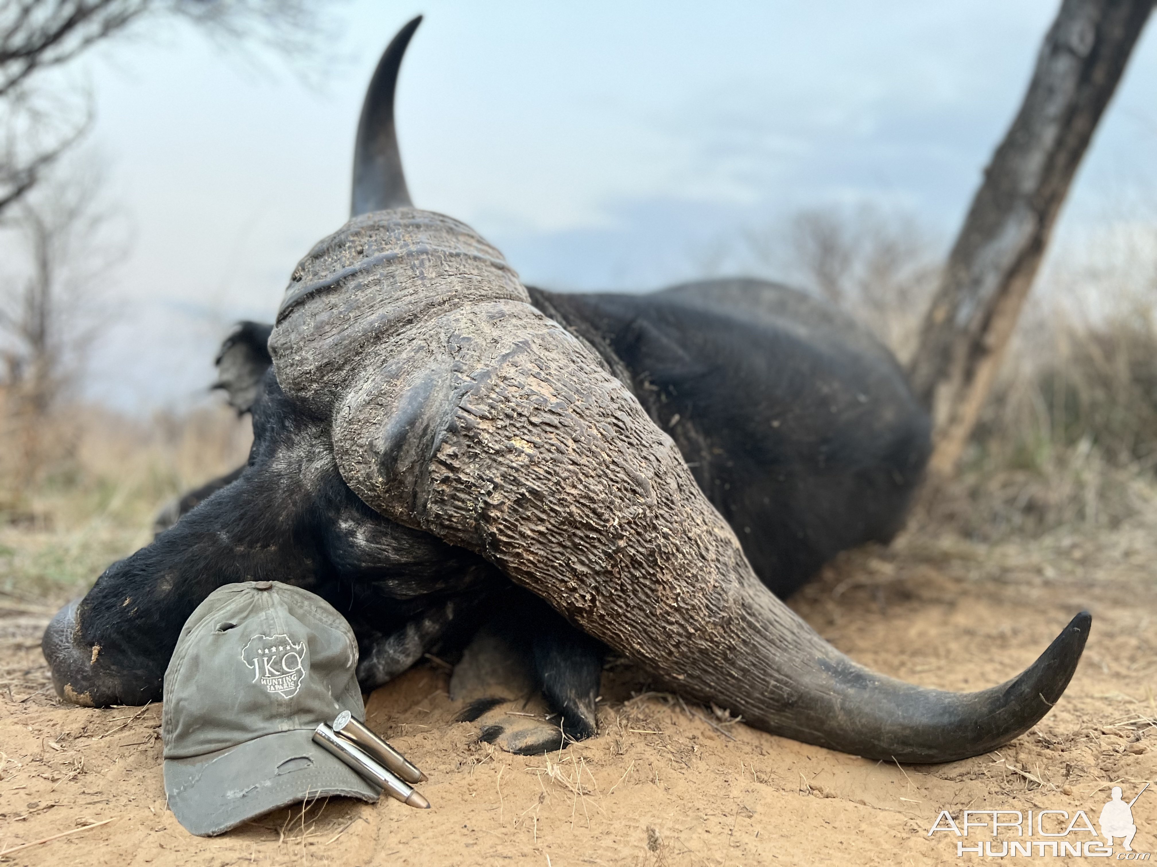 Buffalo Hunt South Africa