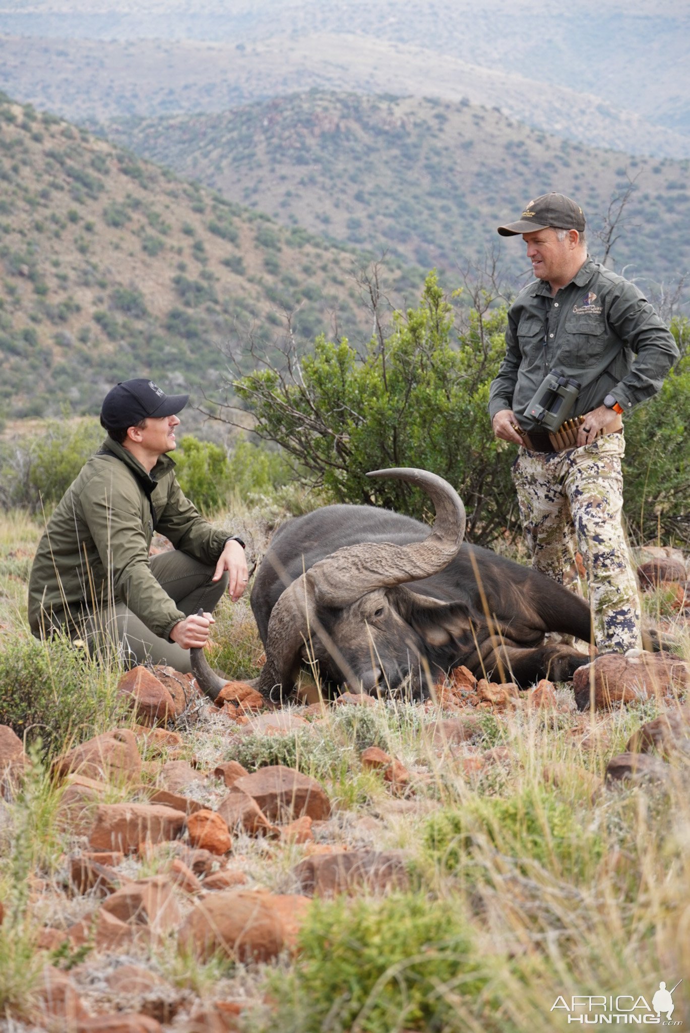 Buffalo Hunt South Africa