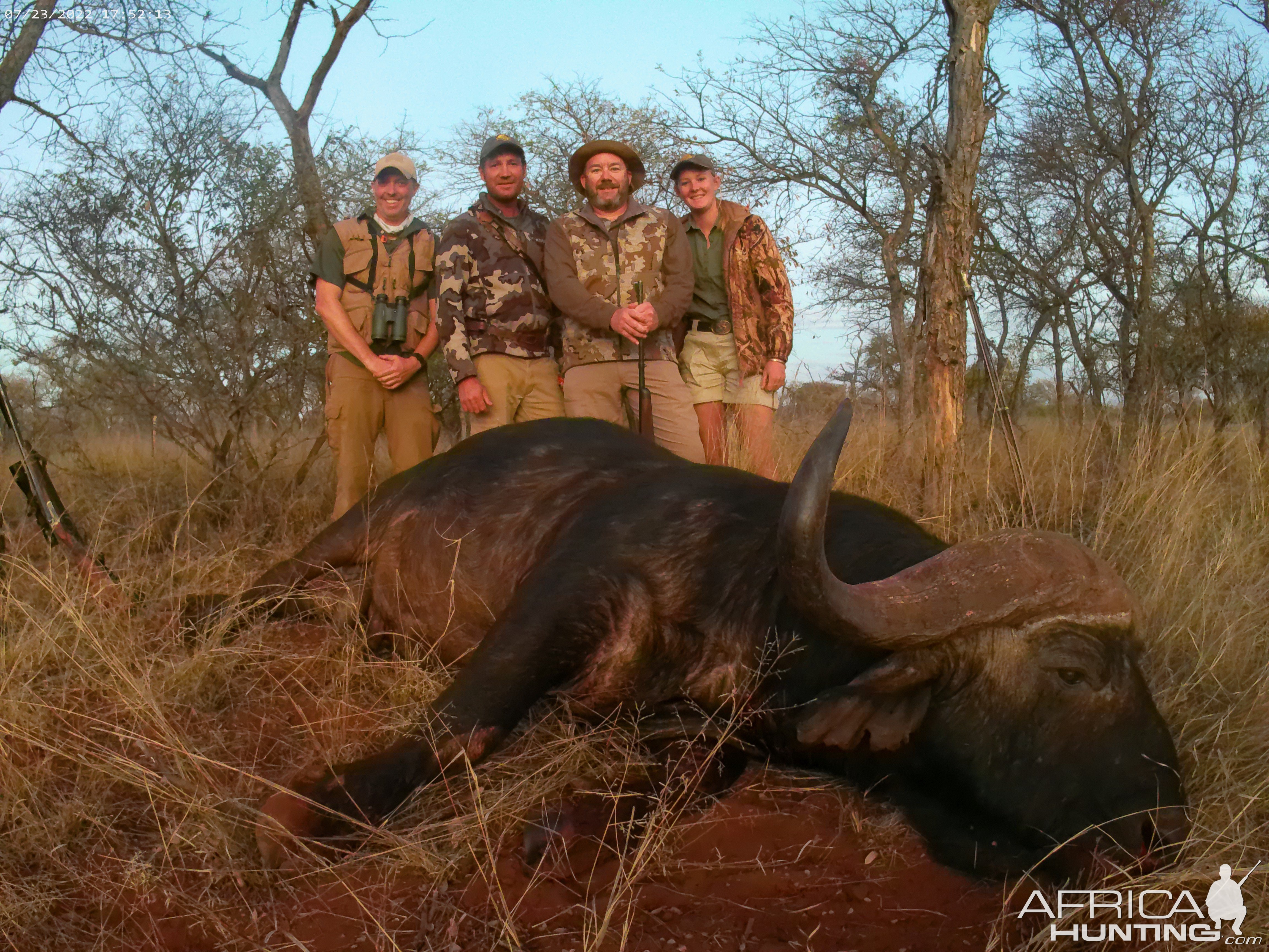 Buffalo Hunt South Africa