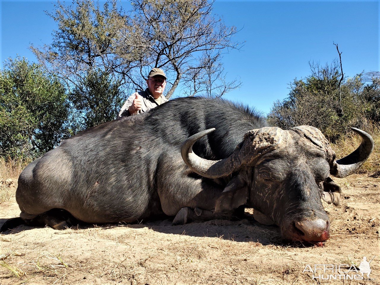 Buffalo Hunt South Africa