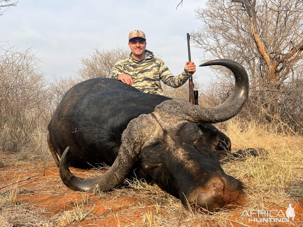 Buffalo Hunt South Africa