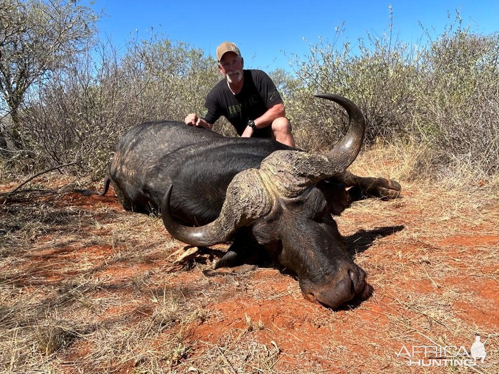 Buffalo Hunt South Africa