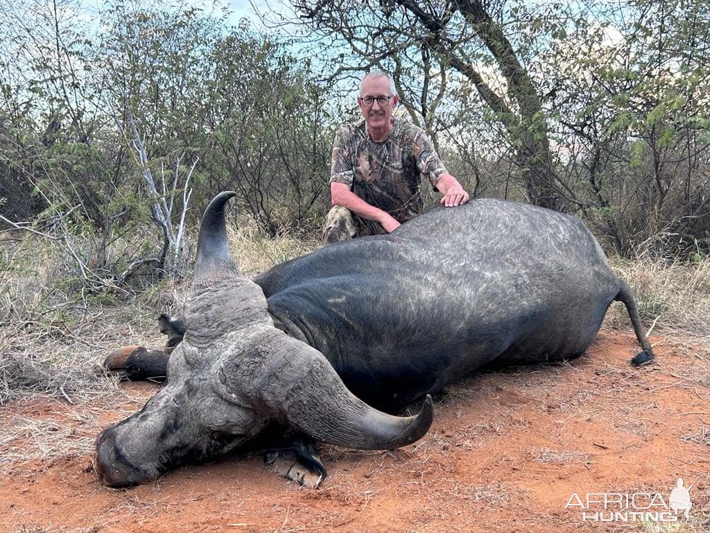 Buffalo Hunt South Africa