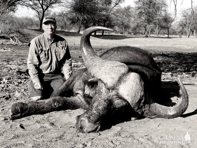 Buffalo Hunt South Africa