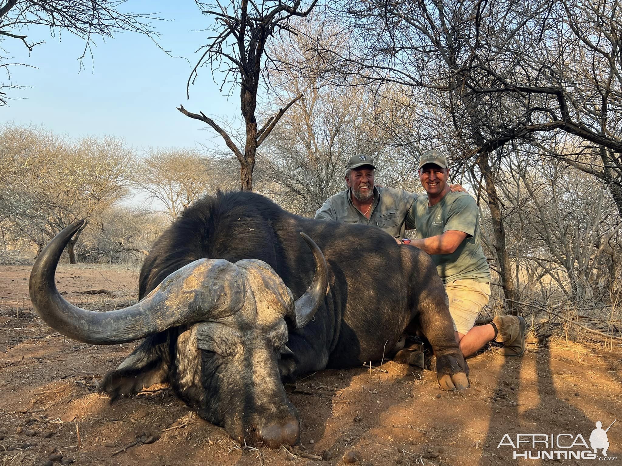 Buffalo Hunt South Africa