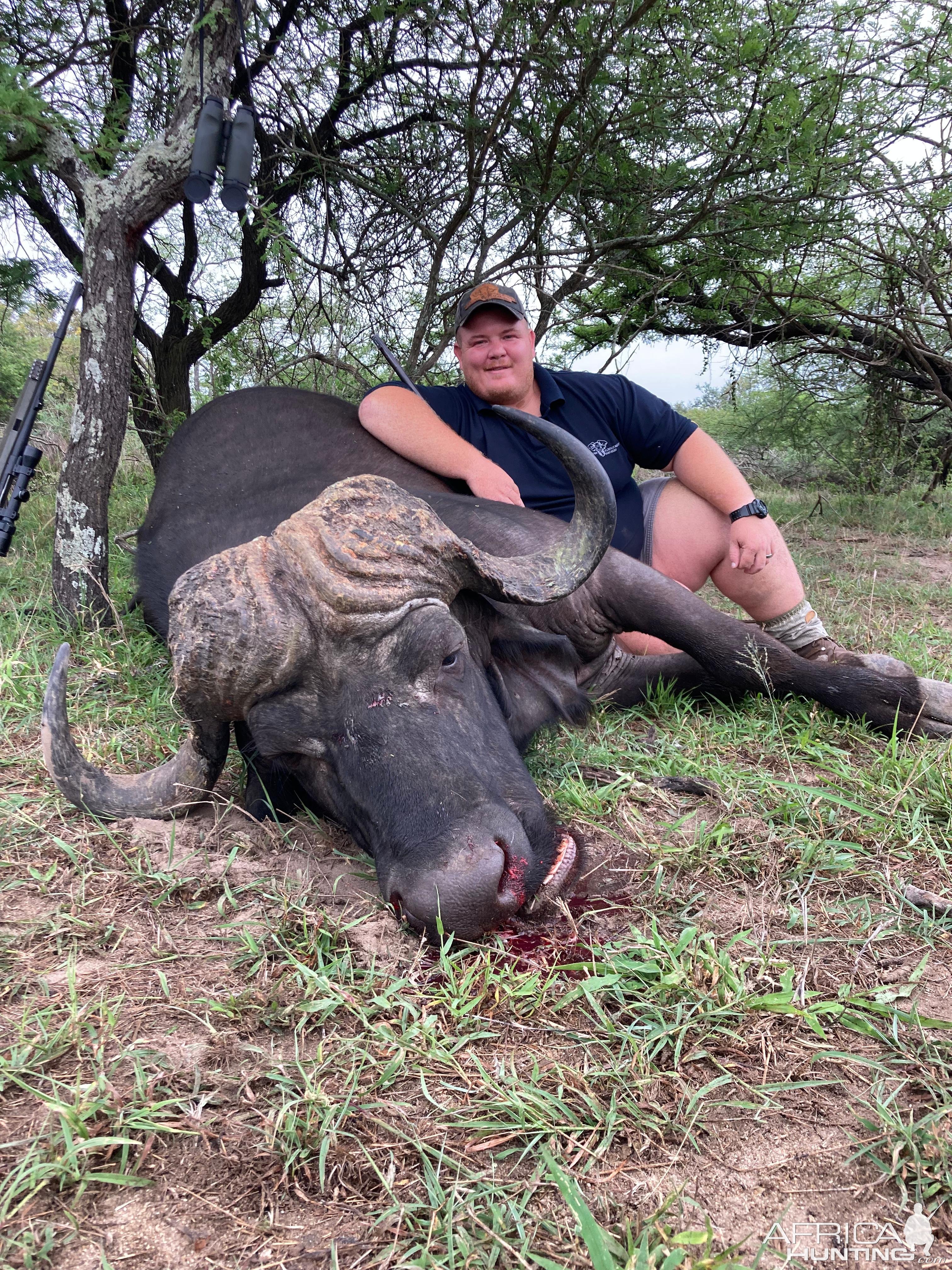 Buffalo Hunt South Africa