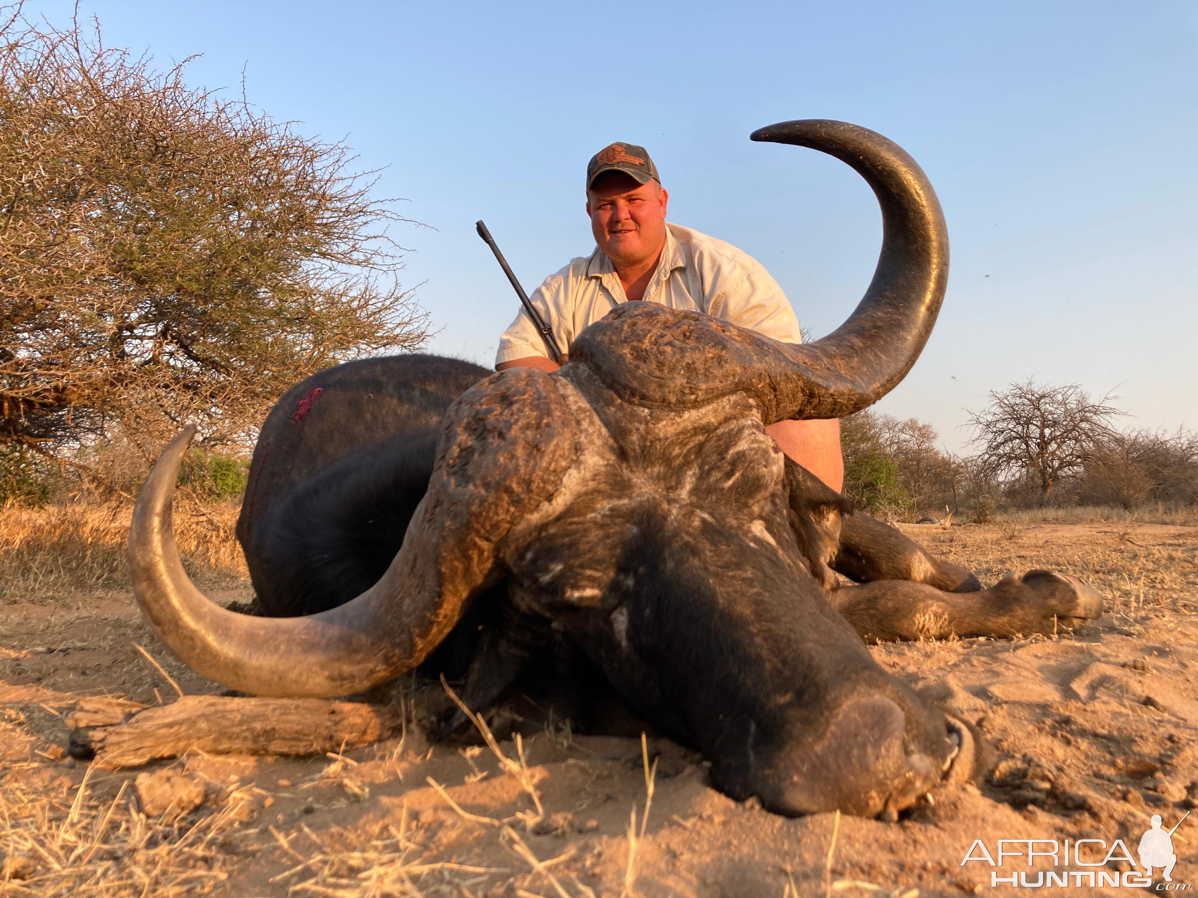 Buffalo Hunt South Africa