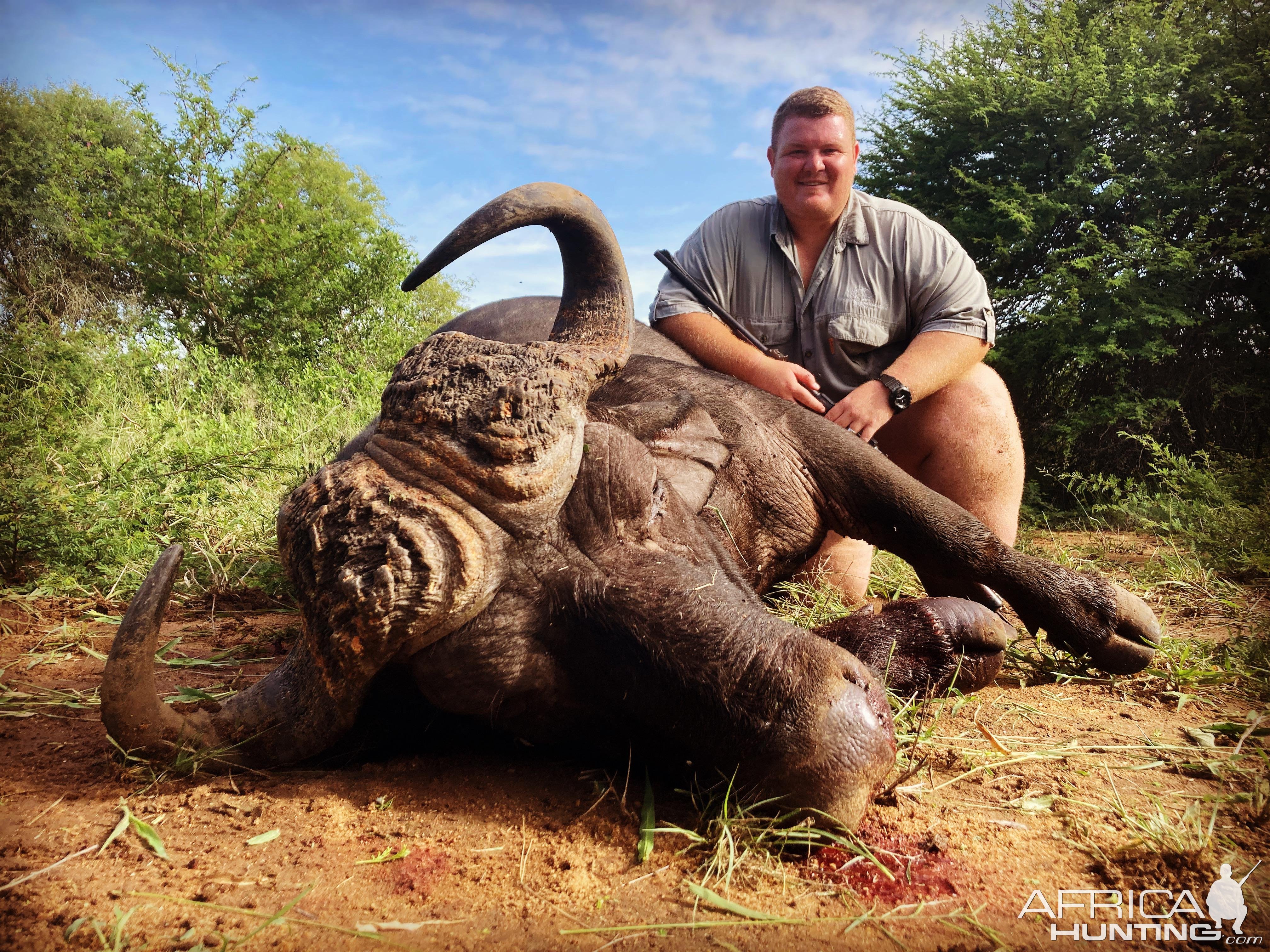 Buffalo Hunt South Africa