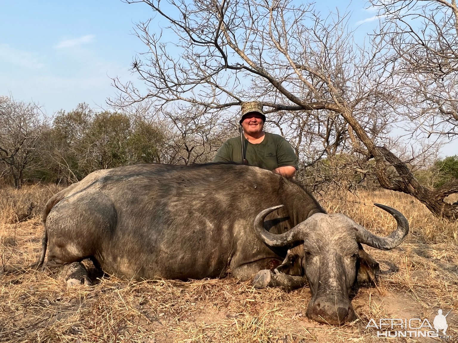 Buffalo Hunt South Africa