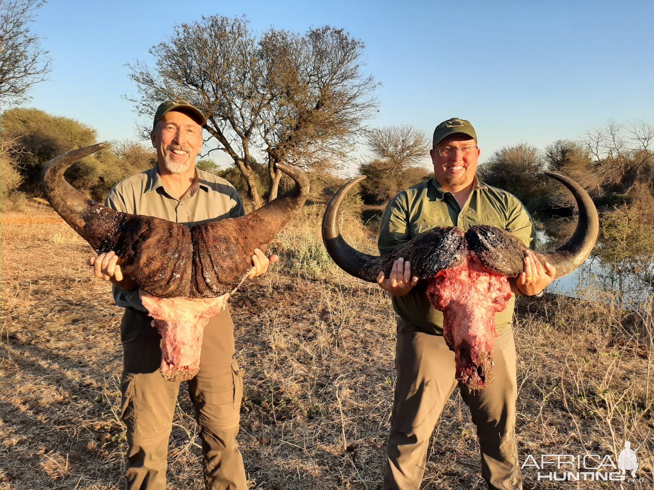 Buffalo Hunt South Africa