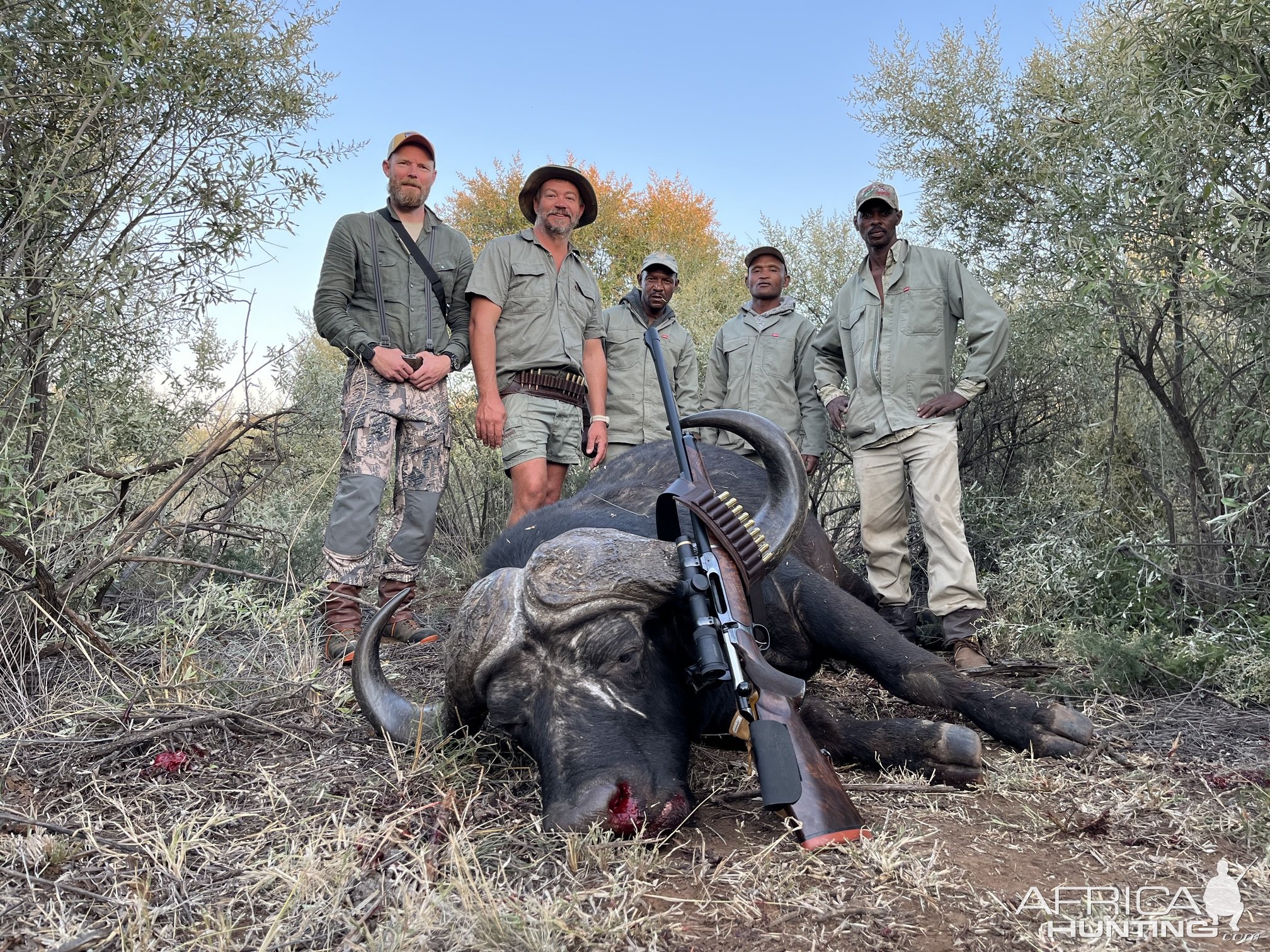 Buffalo Hunt South Africa