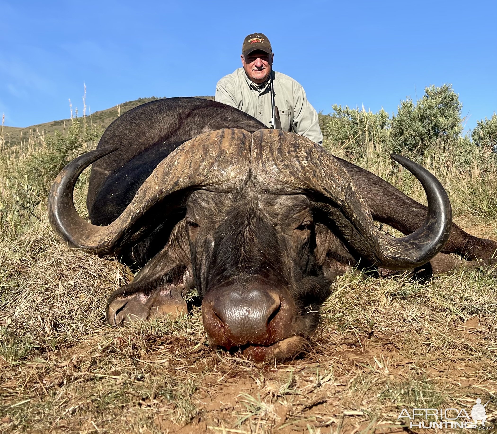 Buffalo Hunt South Africa