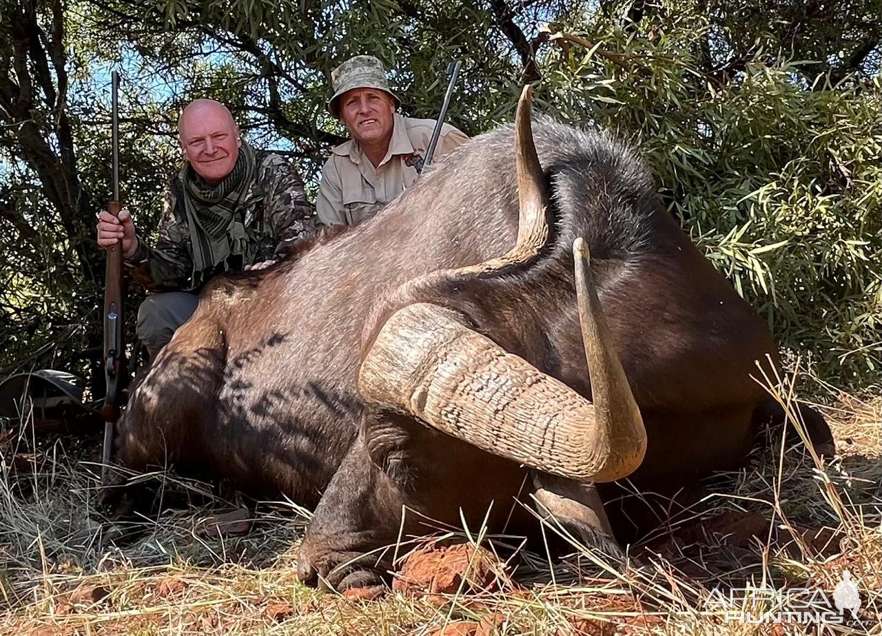 Buffalo Hunt South Africa