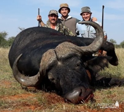 Buffalo Hunt South Africa