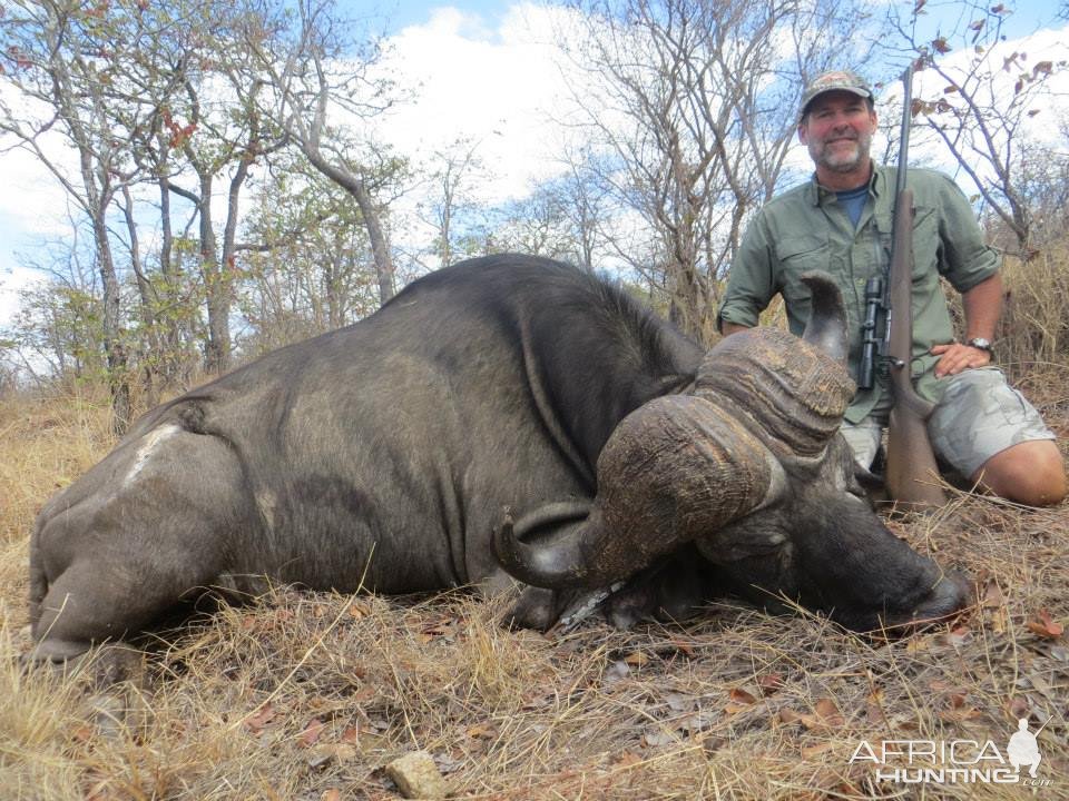 Buffalo Hunt South Africa