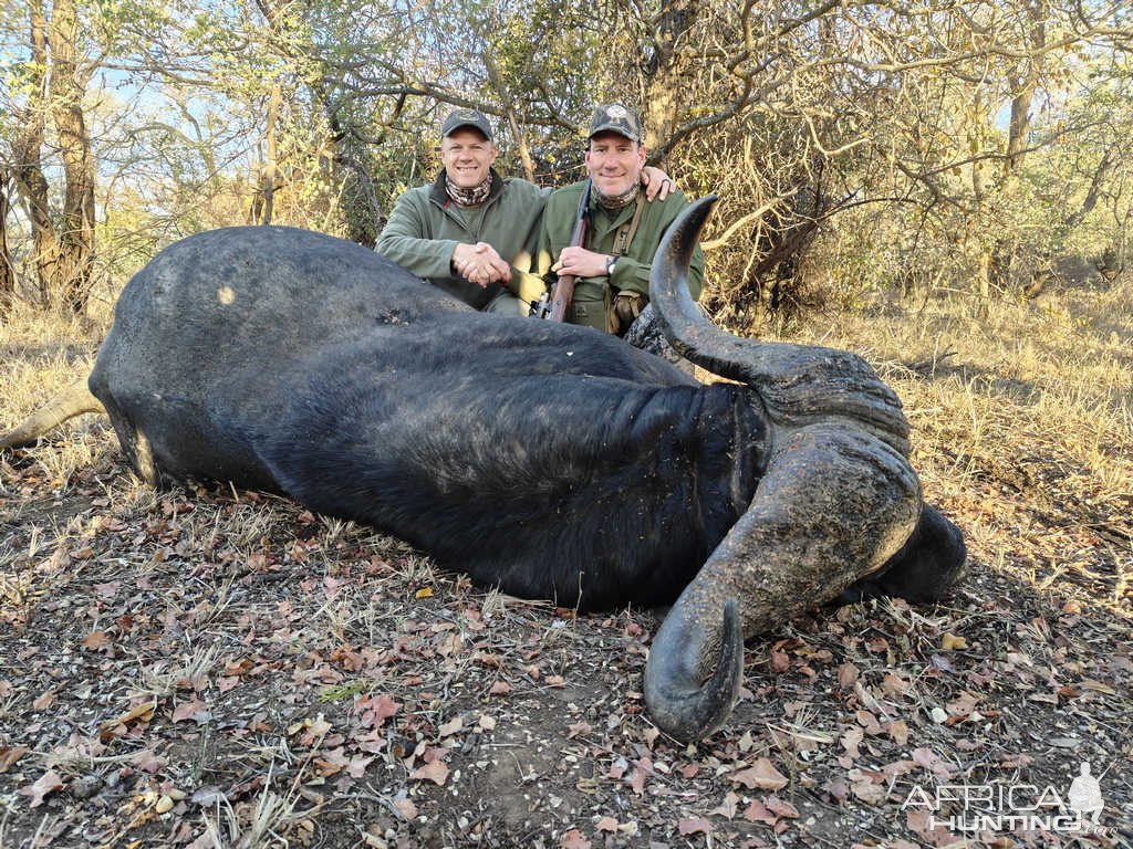 Buffalo Hunt South Africa