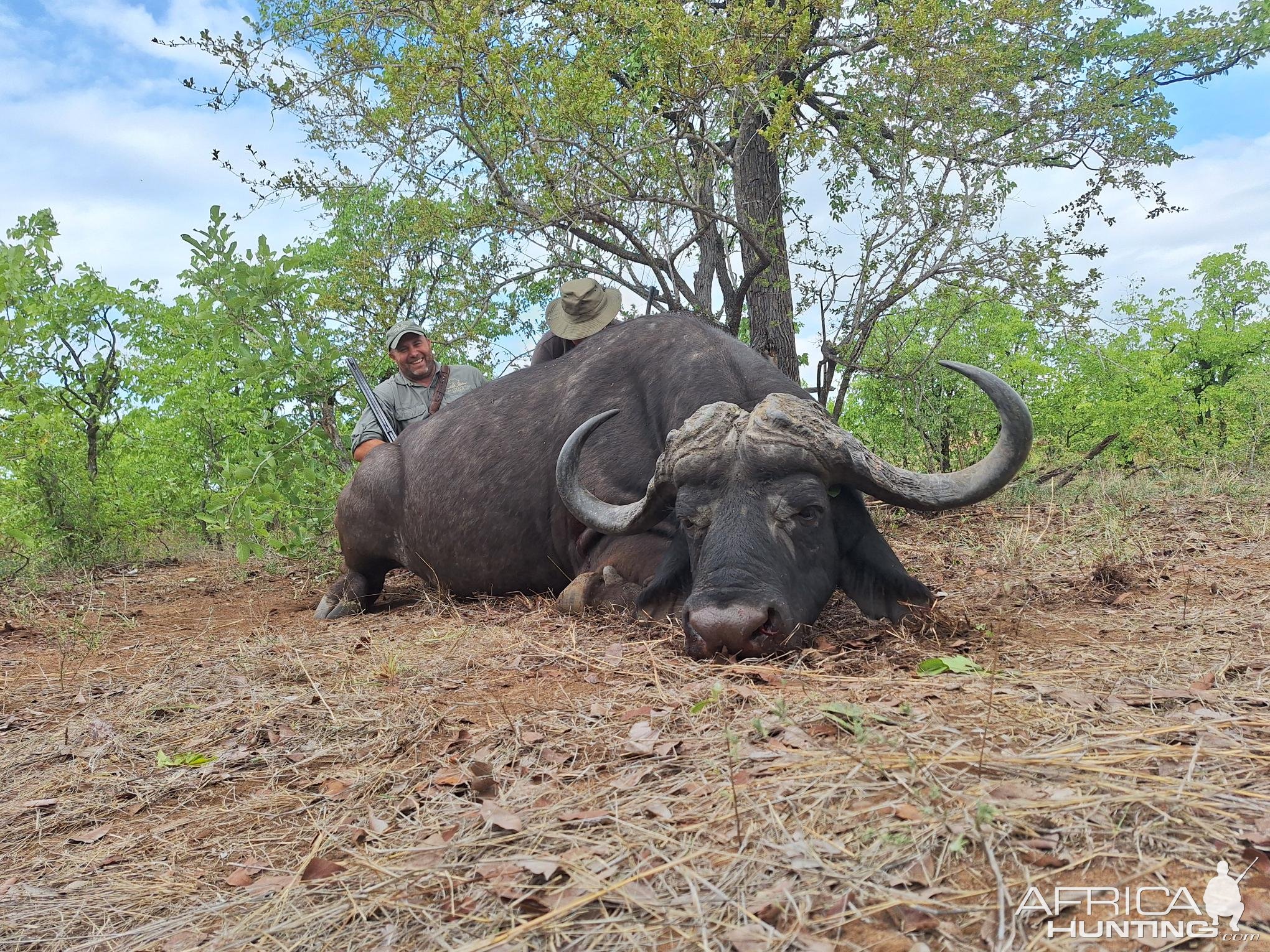 Buffalo Hunt South Africa