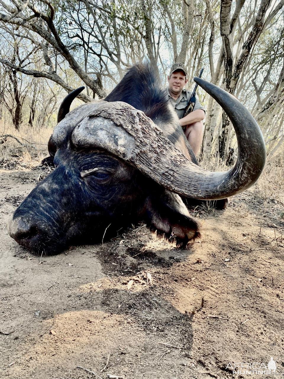 Buffalo Hunt South Africa