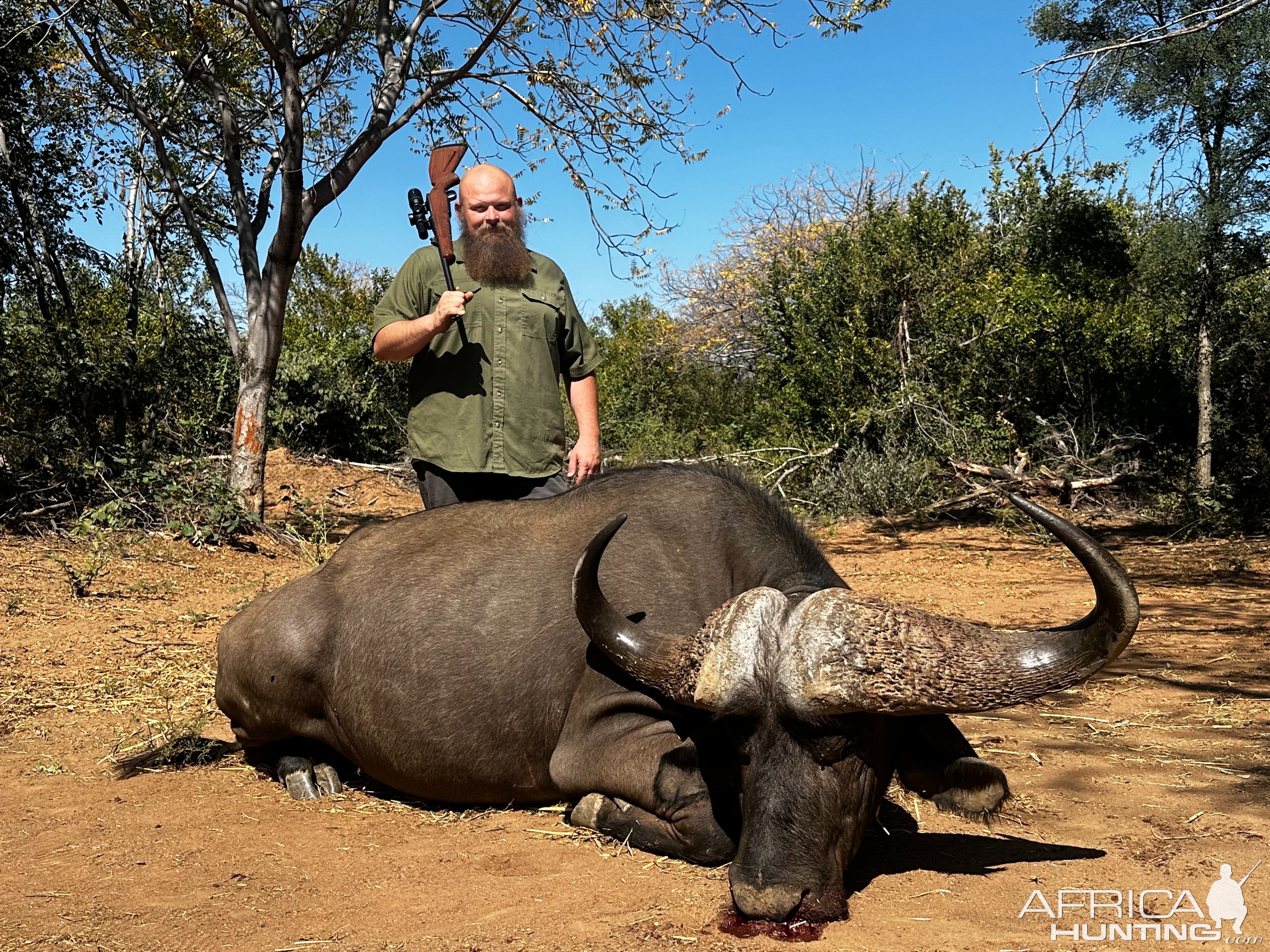 Buffalo Hunt South Africa