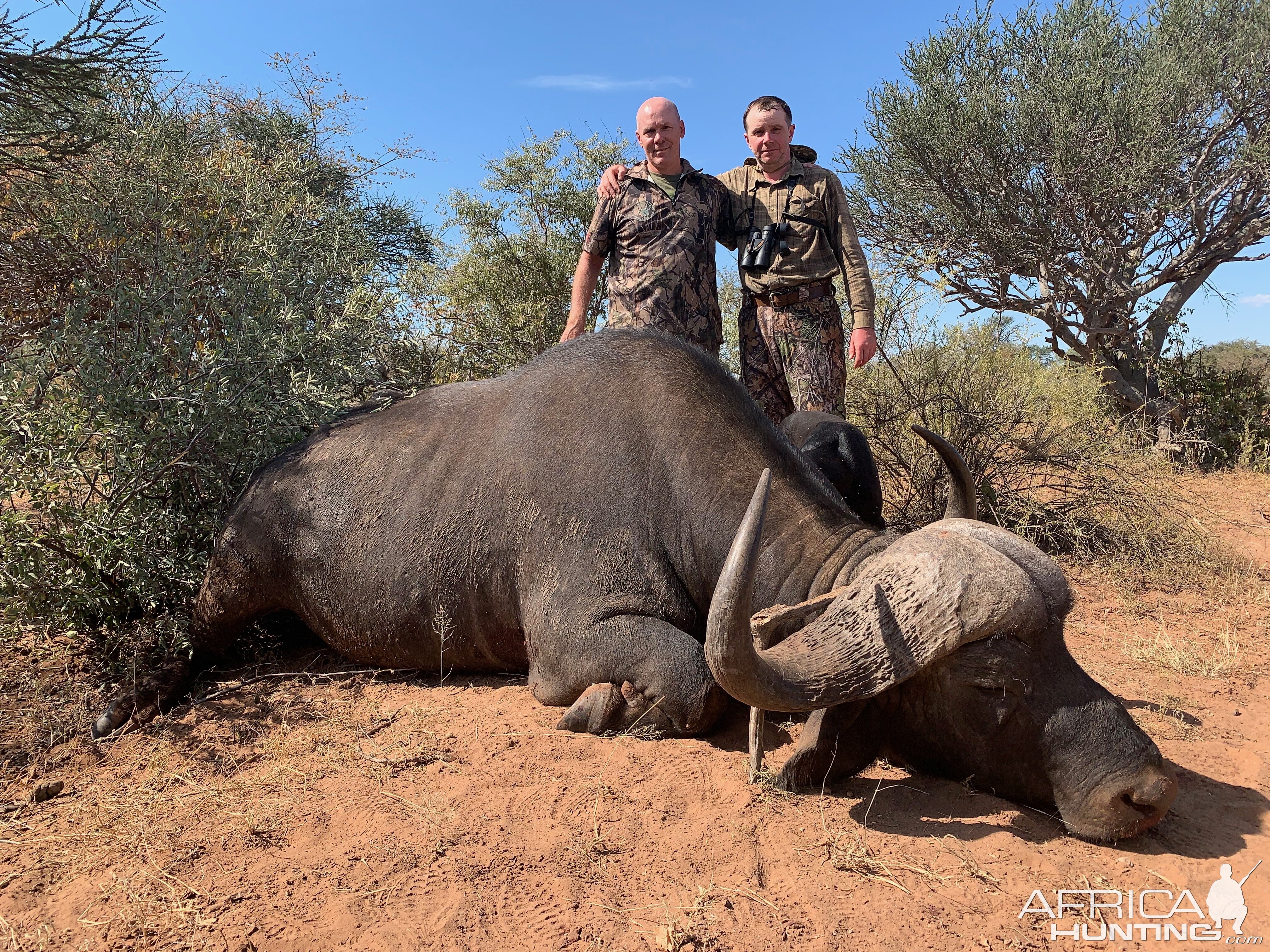 Buffalo Hunt South Africa