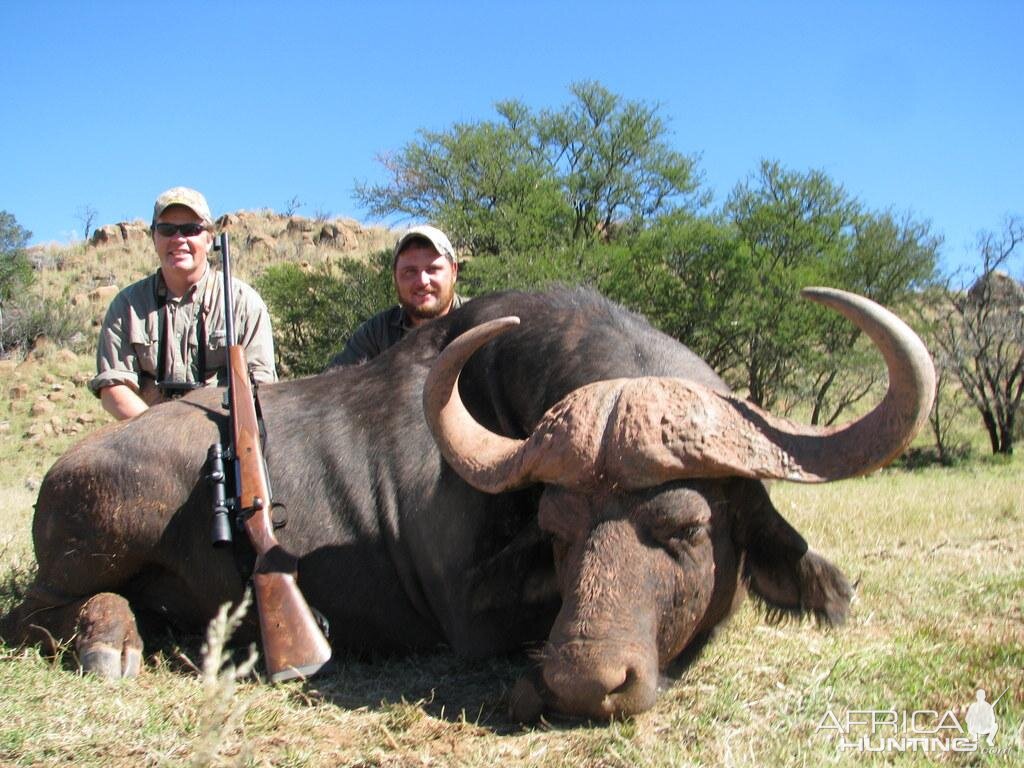 Buffalo Hunt South Africa