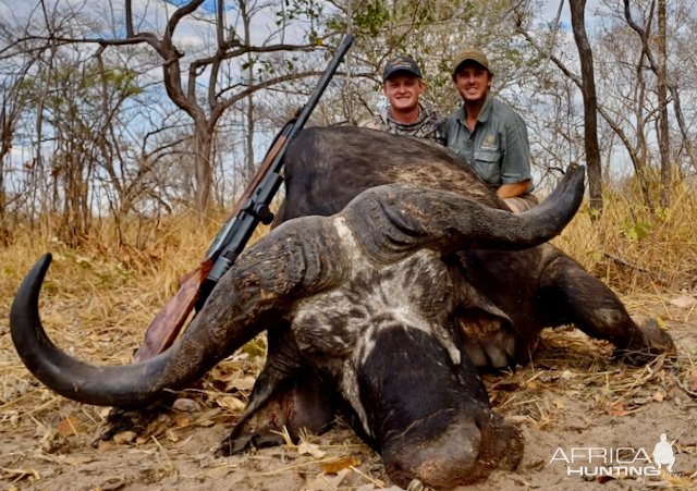 Buffalo Hunt Tanzania Selous