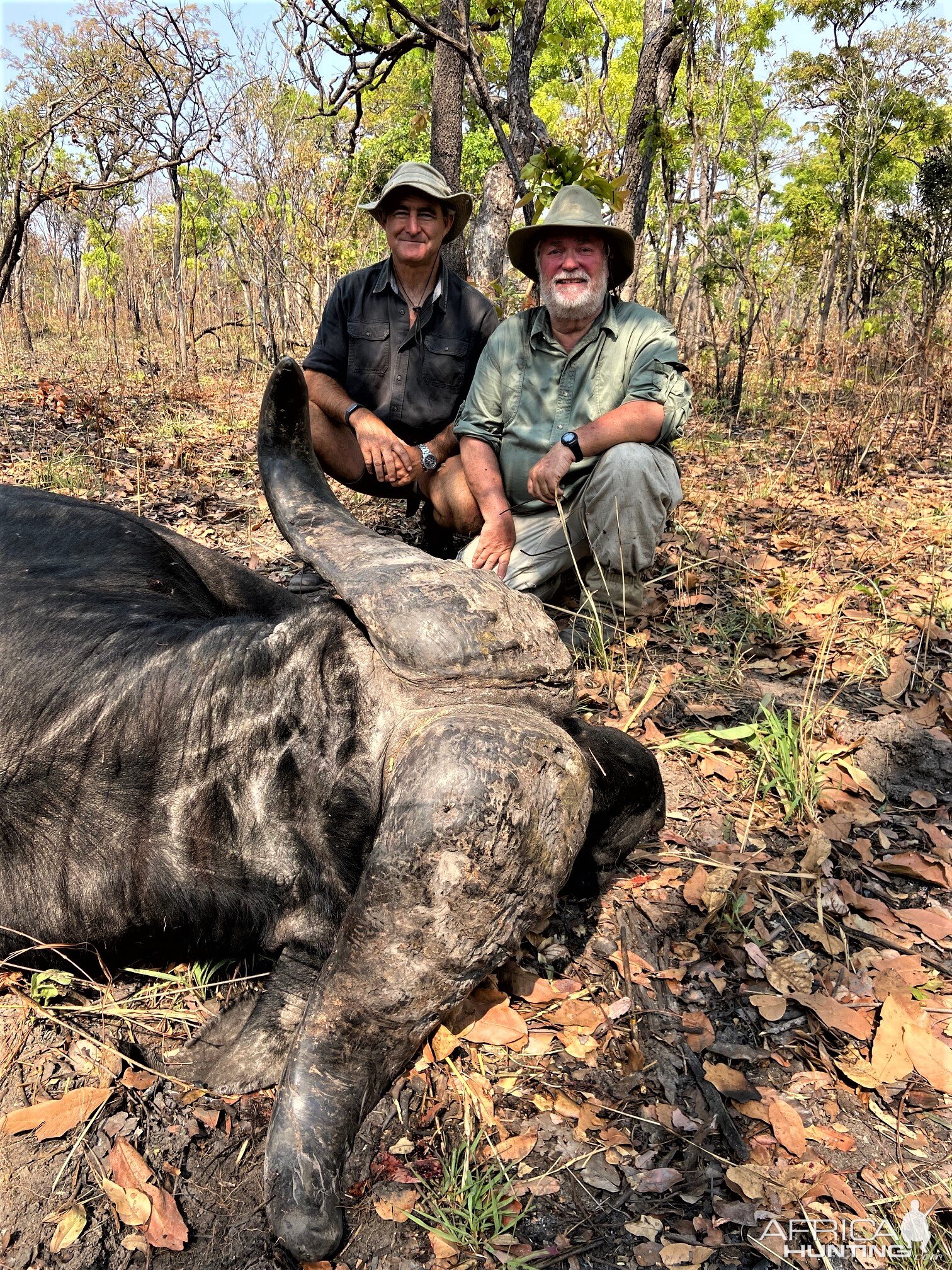 Buffalo Hunt Tanzania