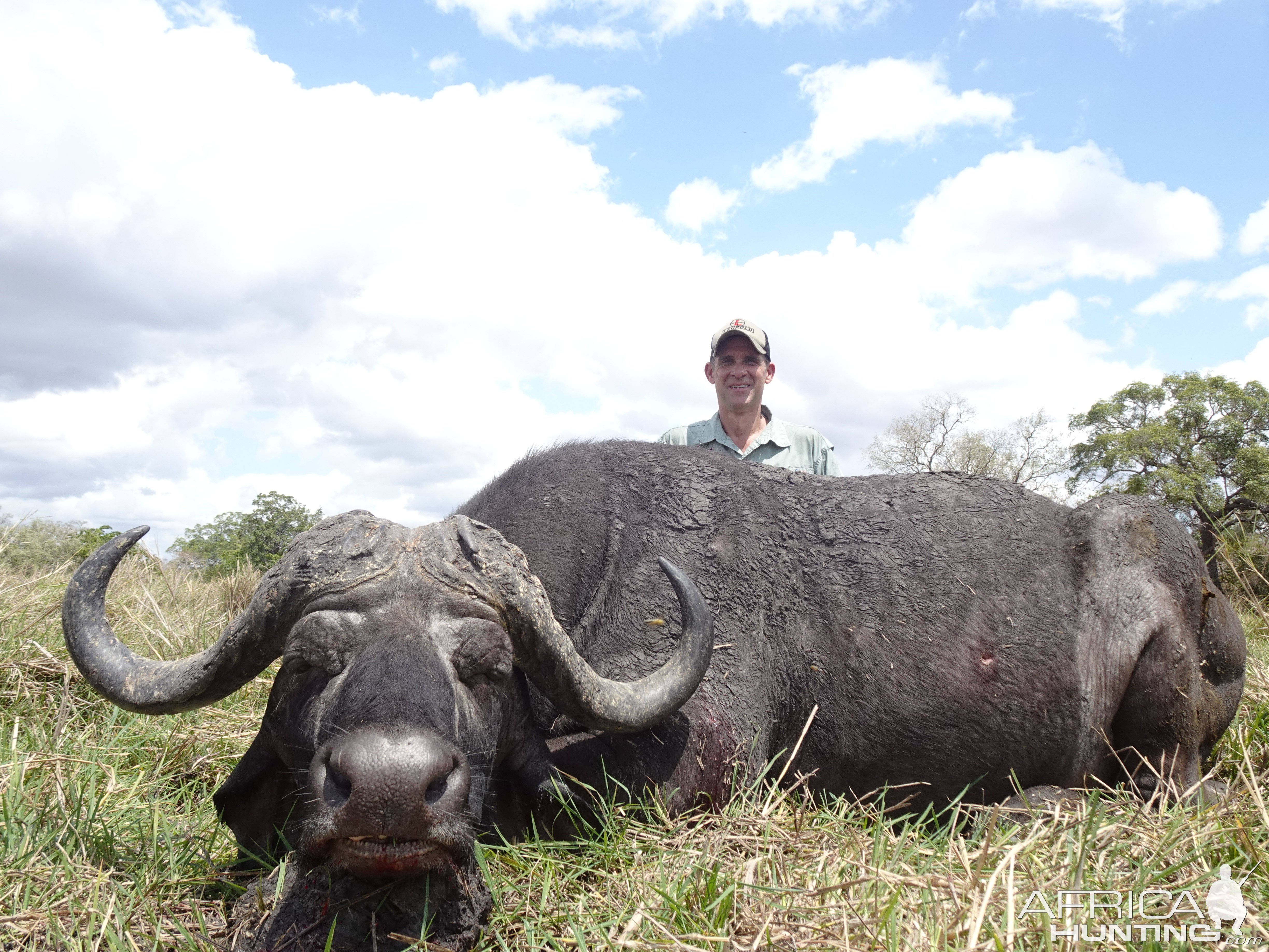 Buffalo Hunt Tanzania