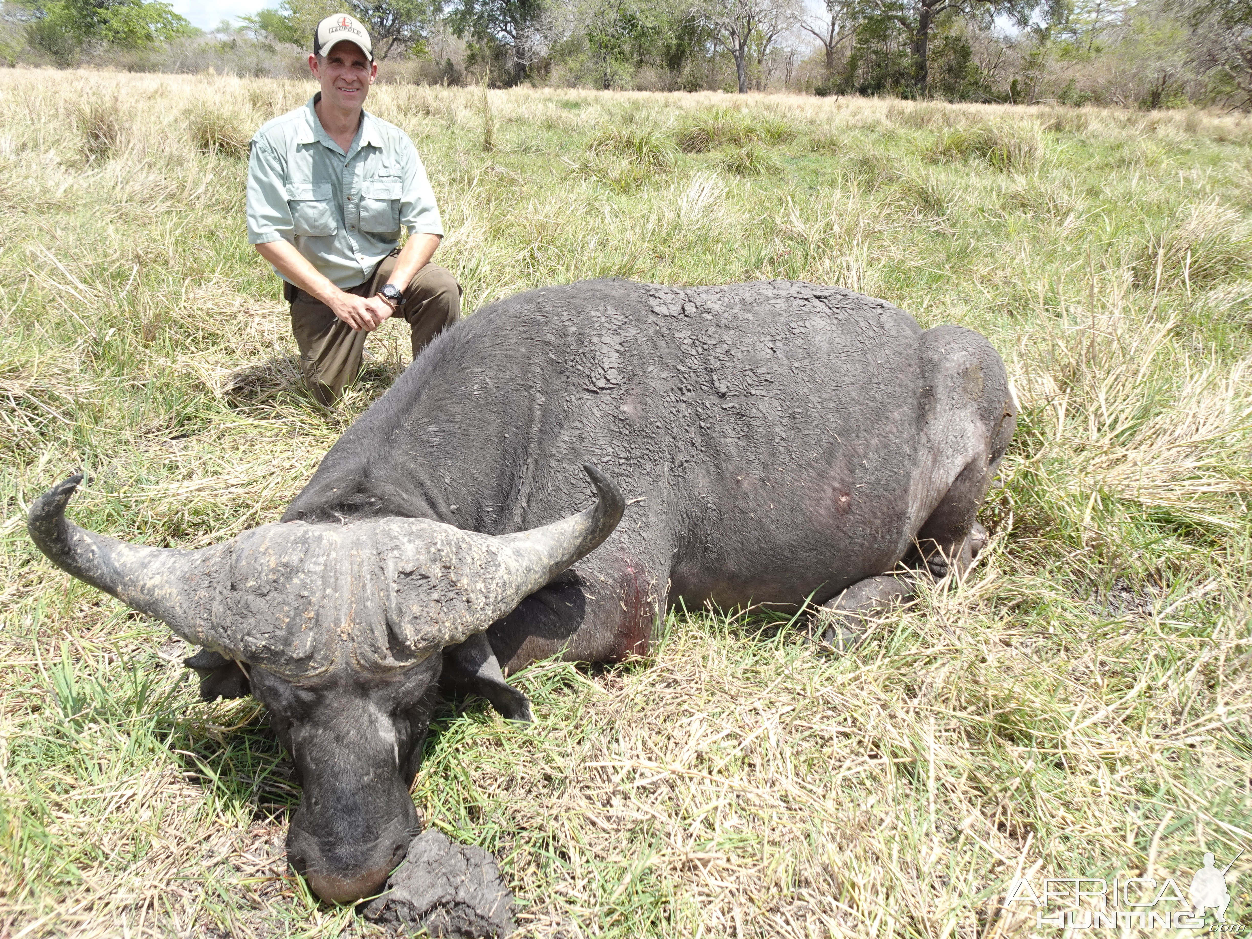 Buffalo Hunt Tanzania