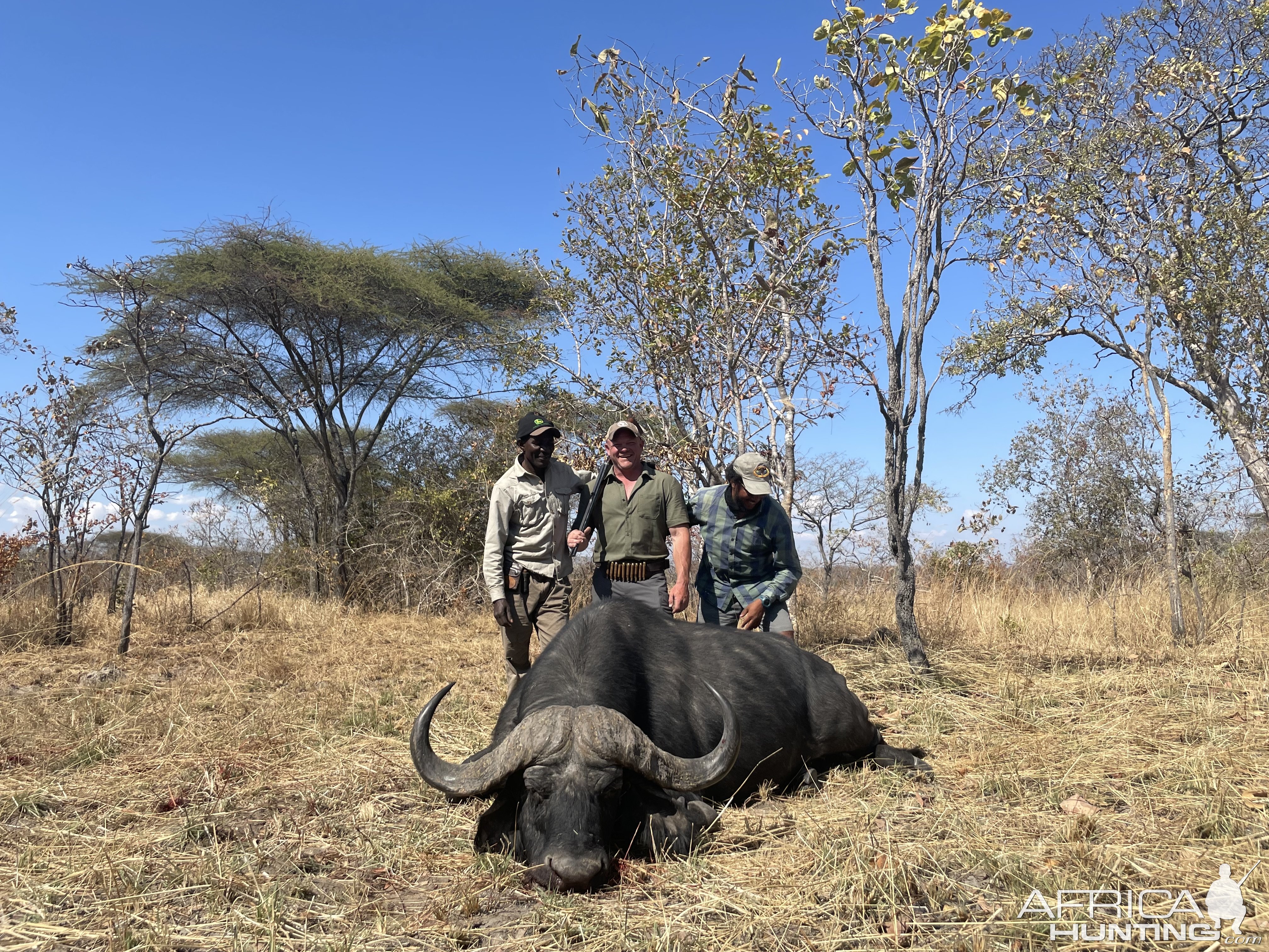 Buffalo Hunt Tanzania