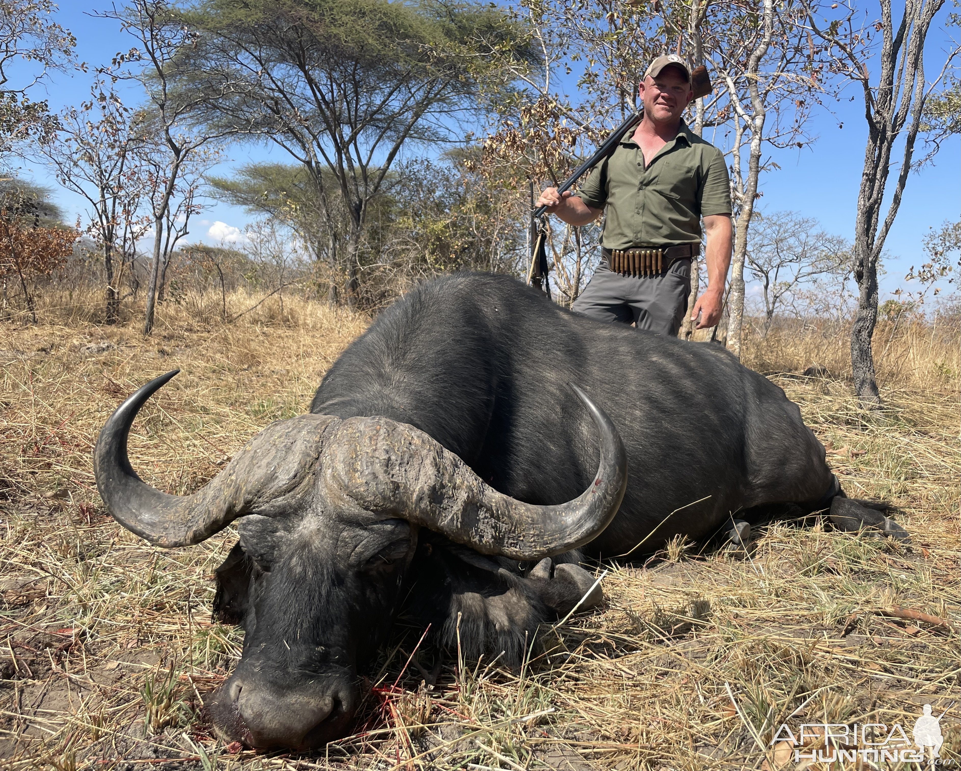 Buffalo Hunt Tanzania