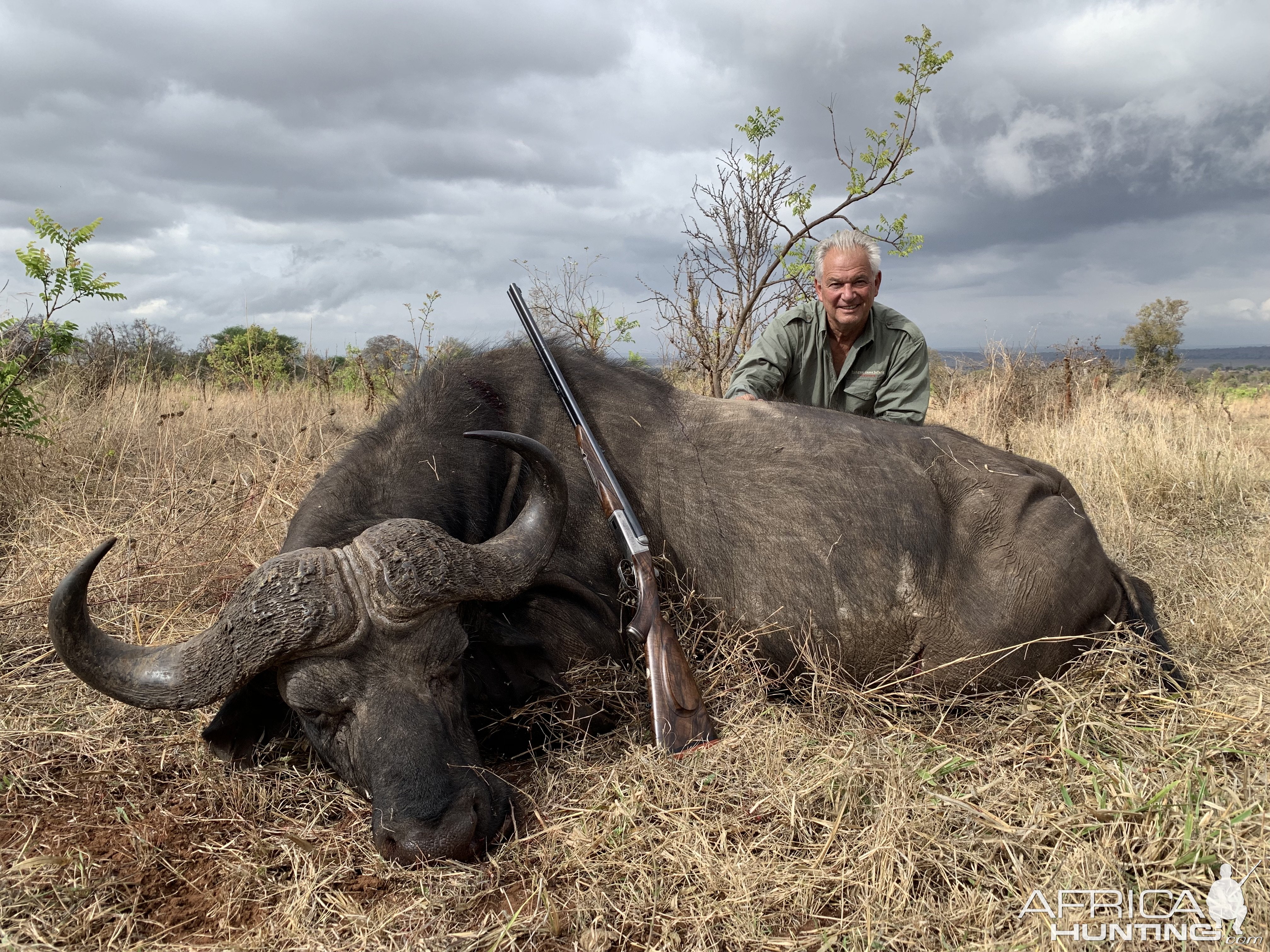 Buffalo Hunt Tanzania